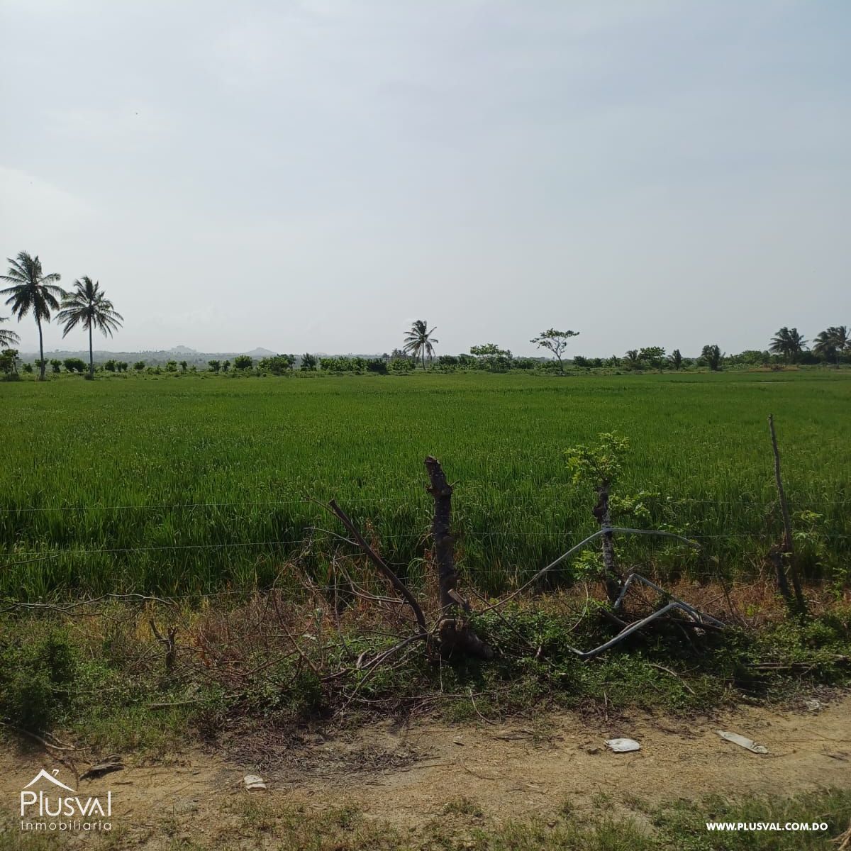 Gran terreno en venta ideal para desarrollo inmobiliario en Nisibon 366422