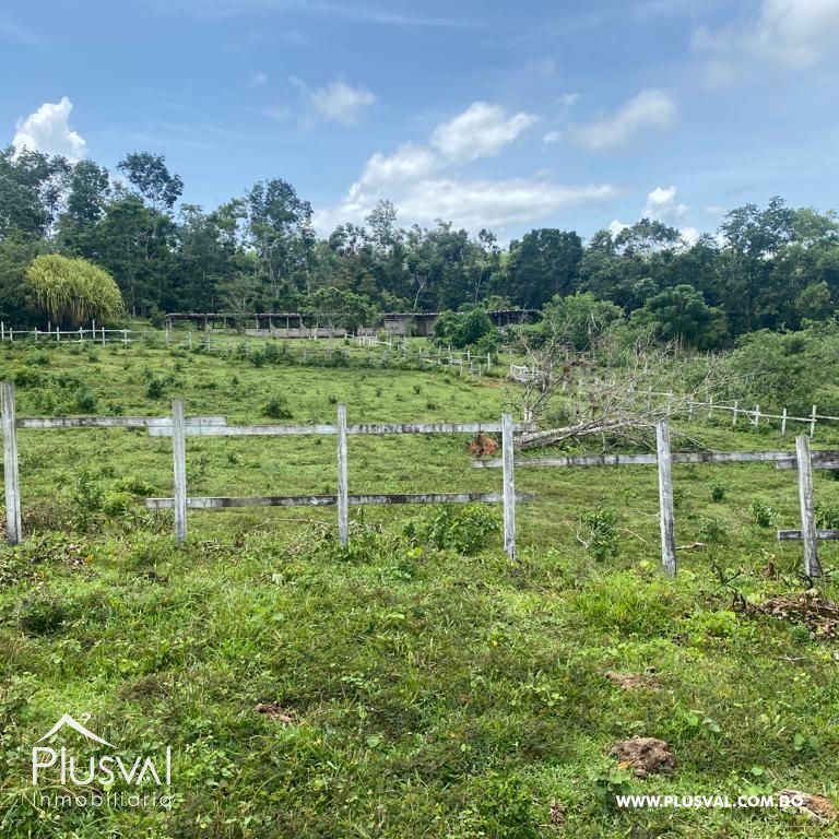 Terreno en Venta en Las Terrenas - Samaná | 190,930 m² Naturaleza y Altitud 313403