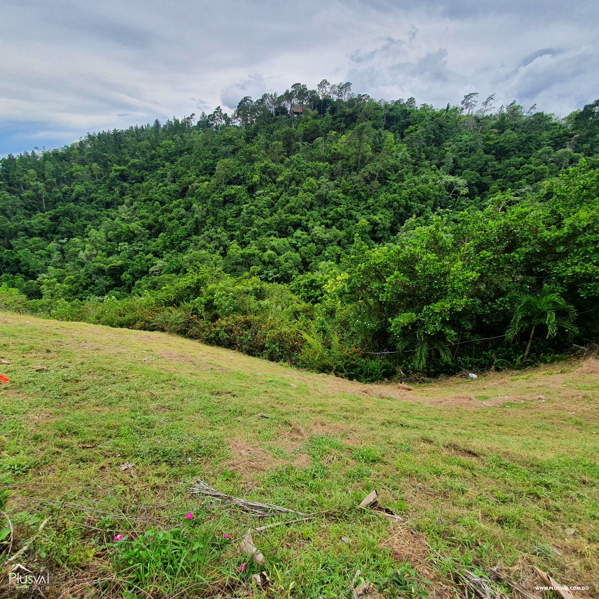 Solar de montaña en  Venta en La Vega con vista al valle 395508