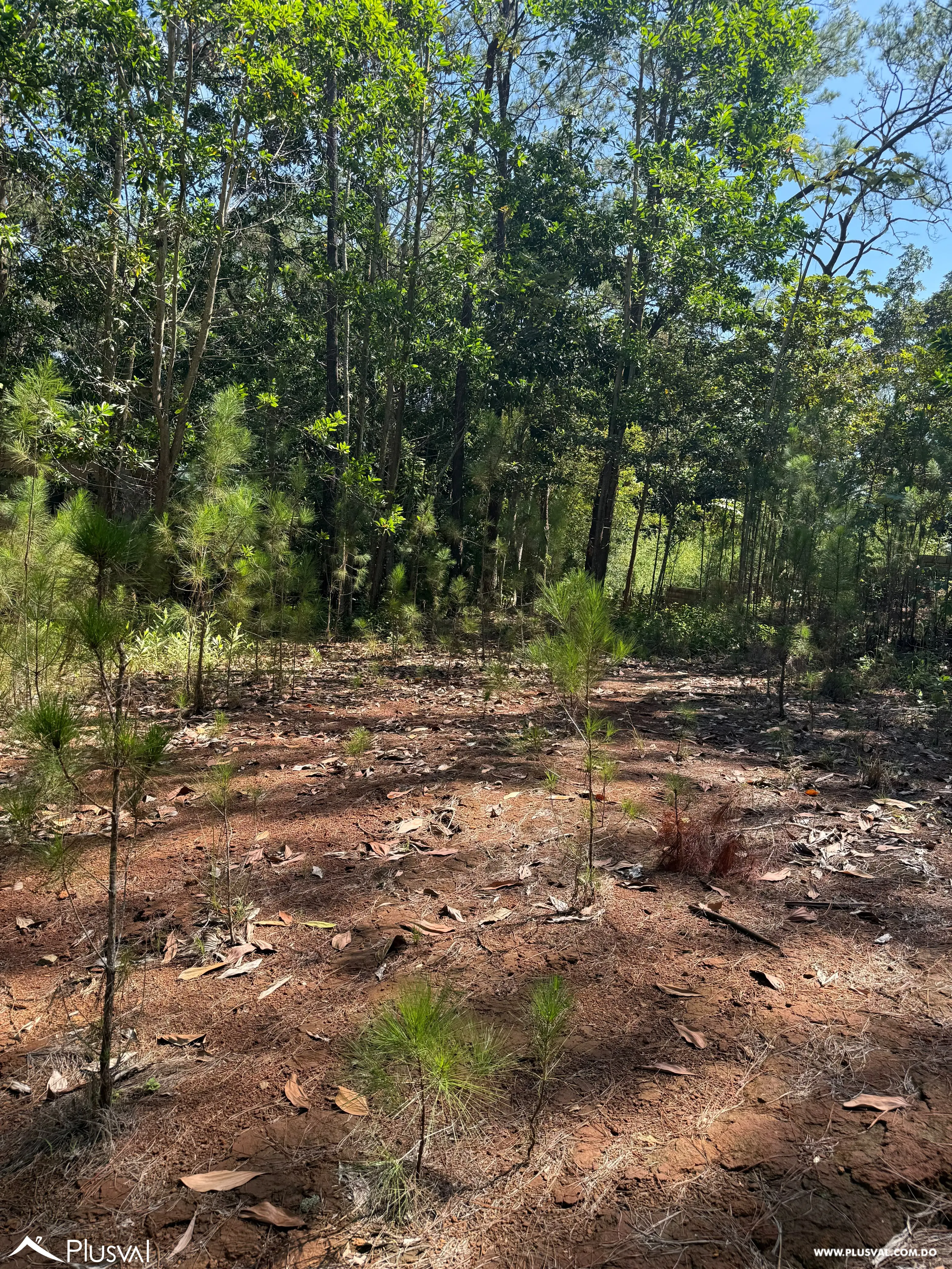 Solar en  Venta en Proyecto Alterra en Jarabacoa 536567