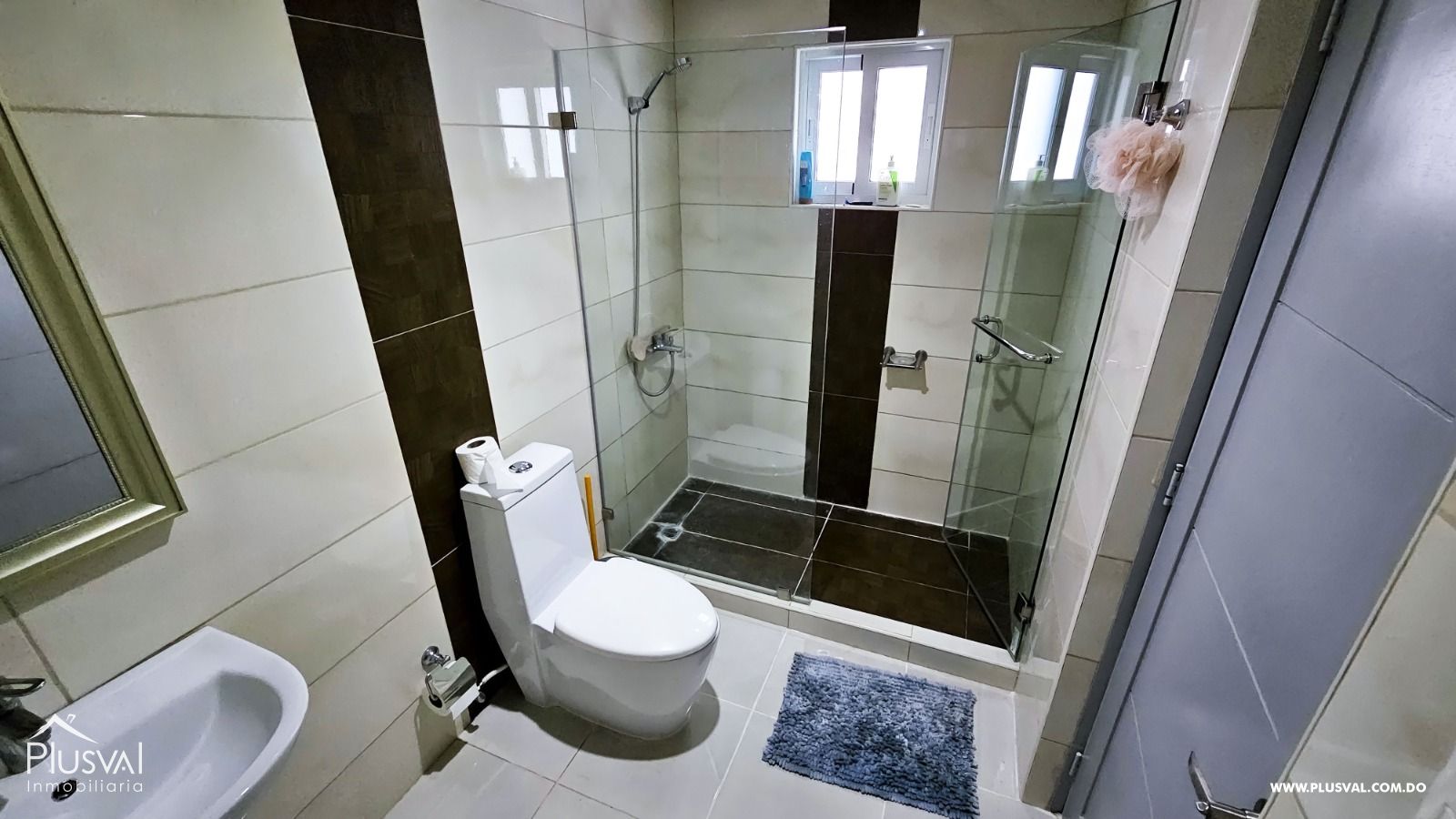 Apartamento Amueblado en Alquiler en Evaristo Morales 320206