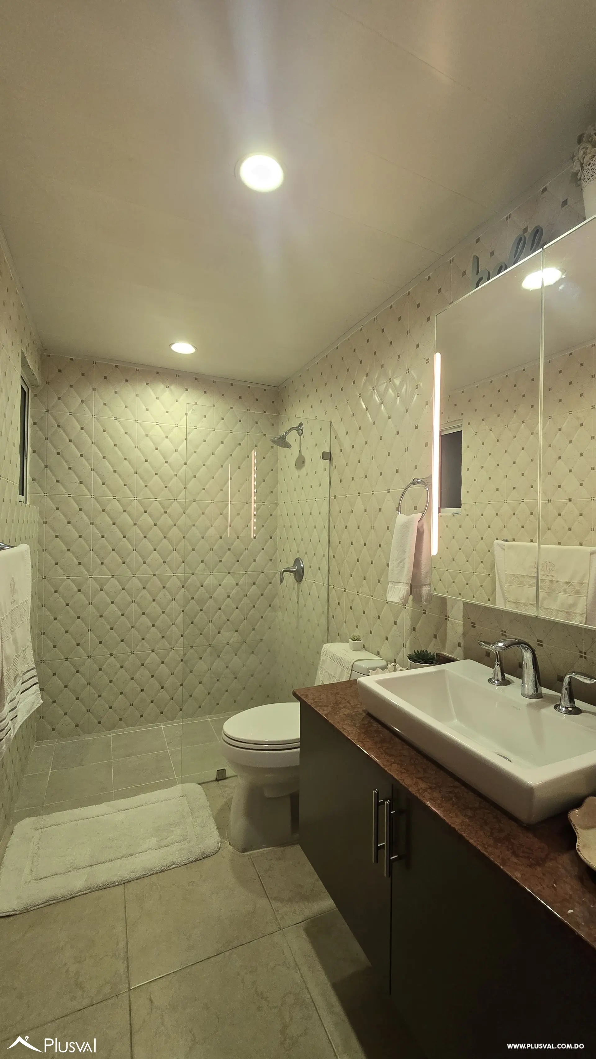 Apartamento en Venta en Arroyo Hondo Viejo 495812