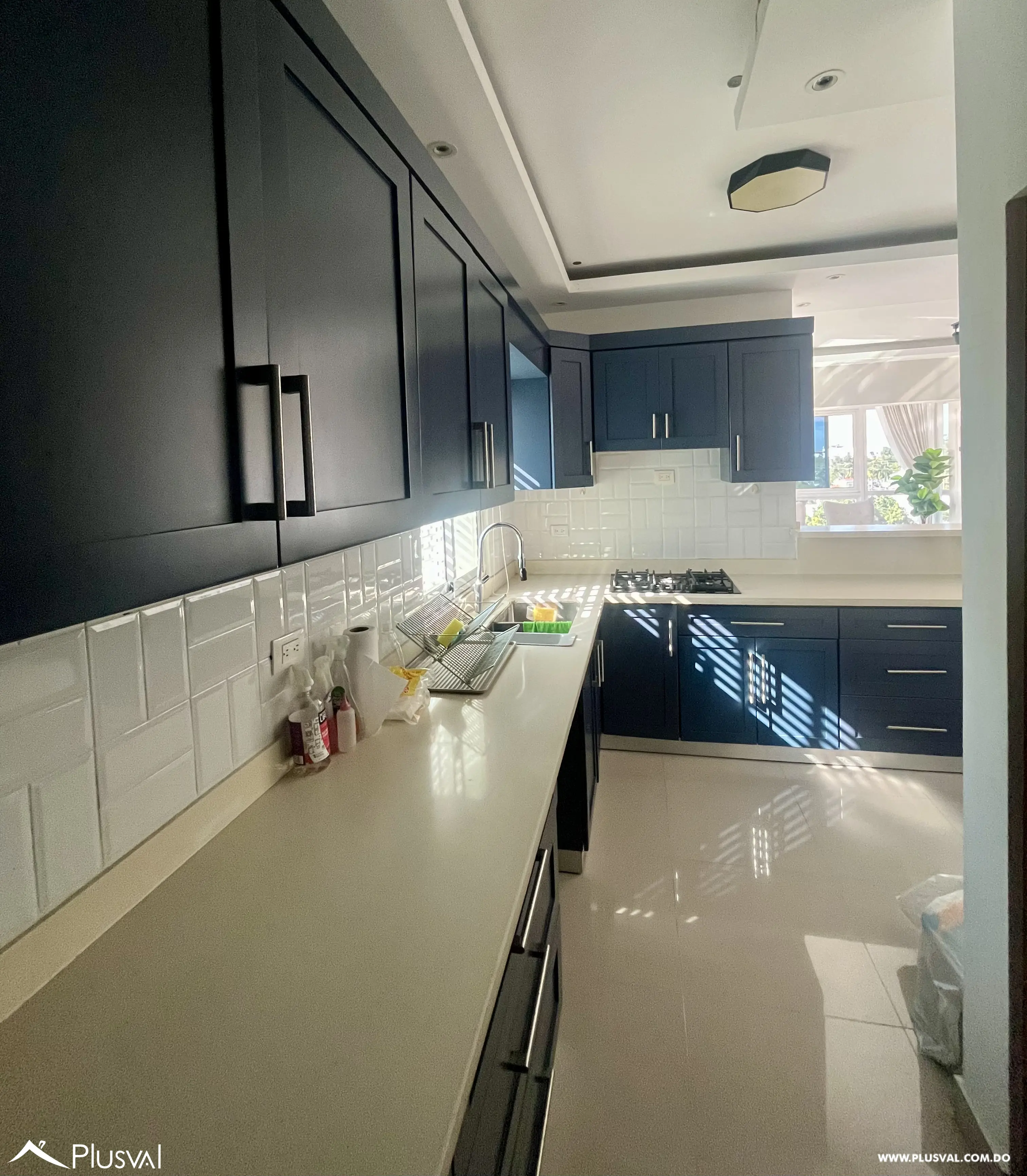 Amplio  Penthouse en venta remodelado con Terraza 481565