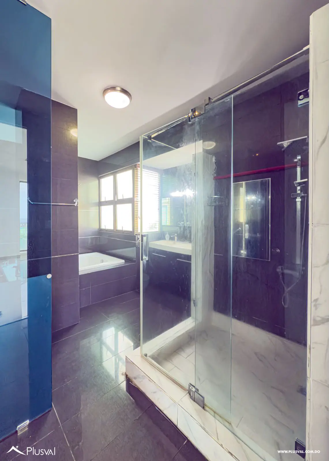 Penthouse Exclusivo en alquiler con Piscina Privada y Terraza en La Esperilla 458908