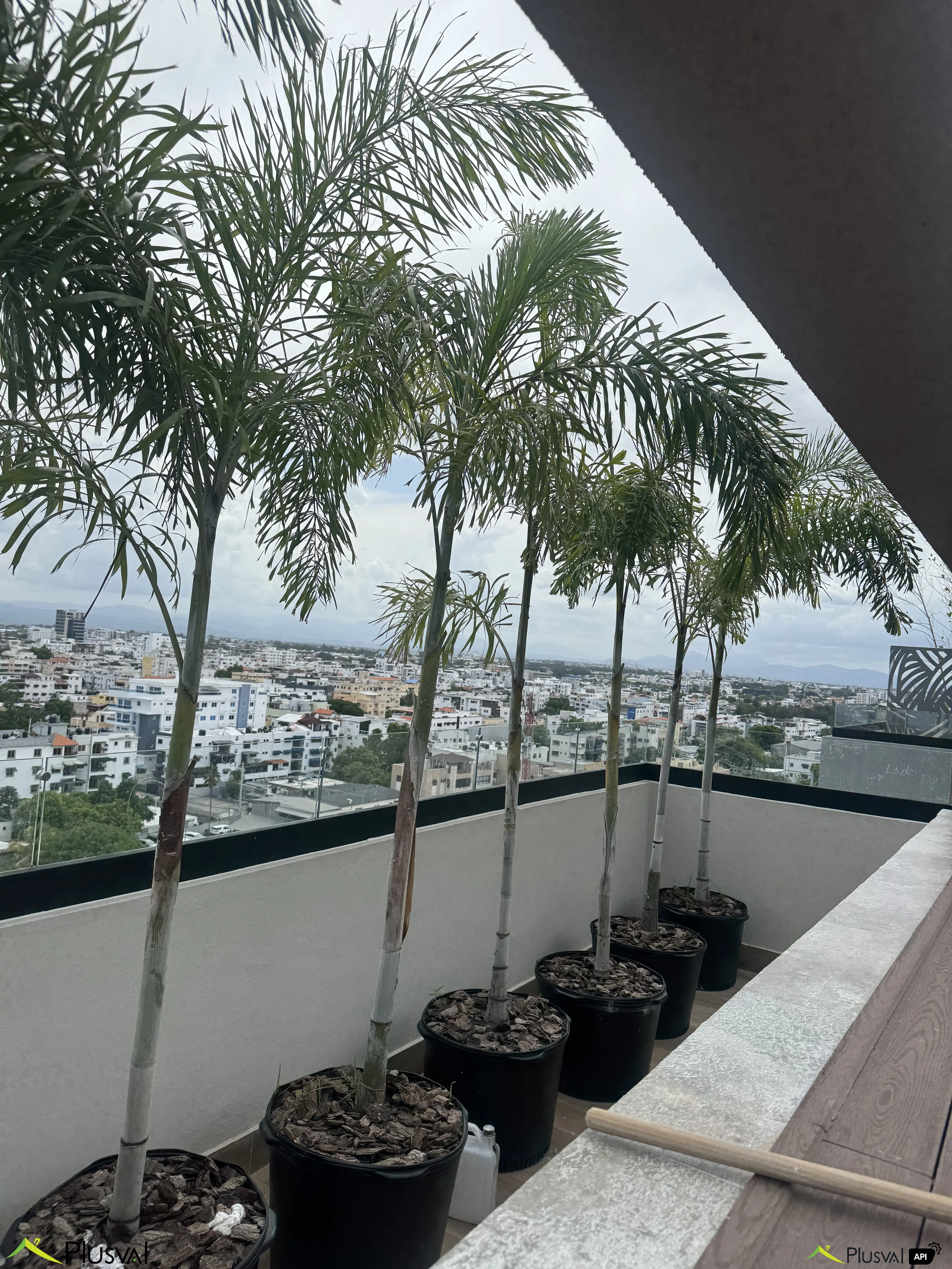 Venta de apartamento  de 3 habitaciones y estudio en Evaristo Morales 451348