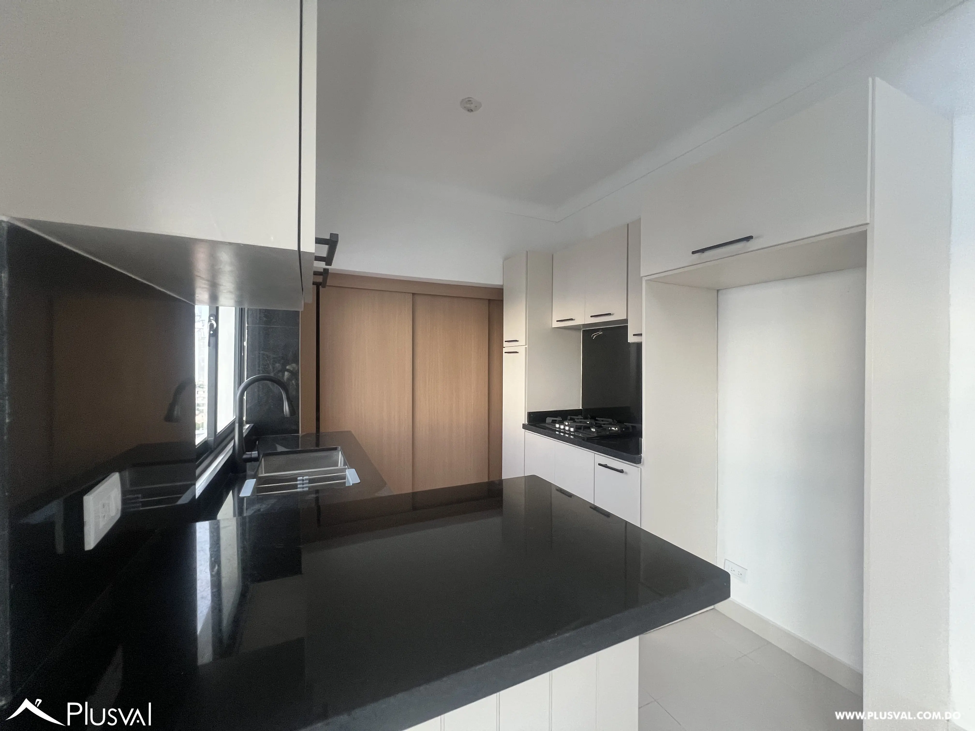 Espectacular penthouse en venta en Renacimiento 471264