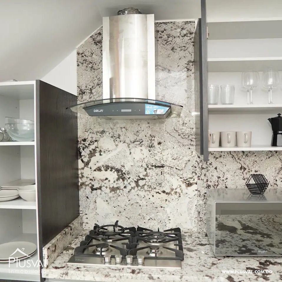 Apartamento en alquiler en Piantini 284157