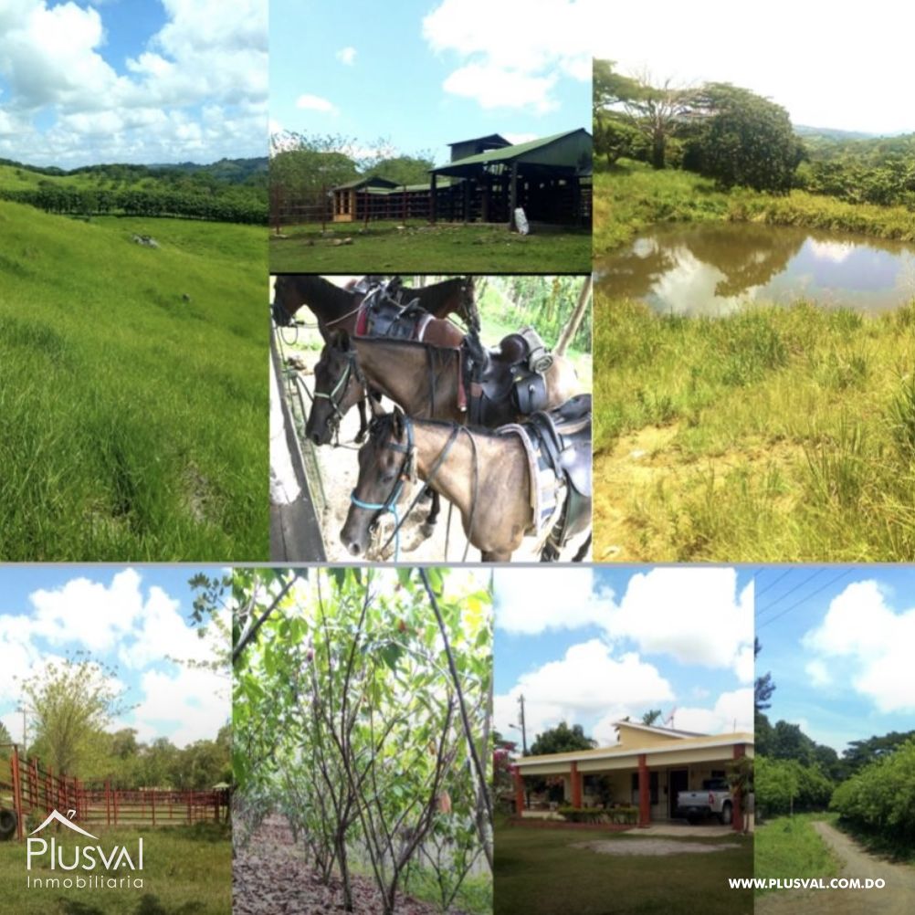 Finca de ganado y cacao en venta en Hato Mayor , Yerba Buena 416005