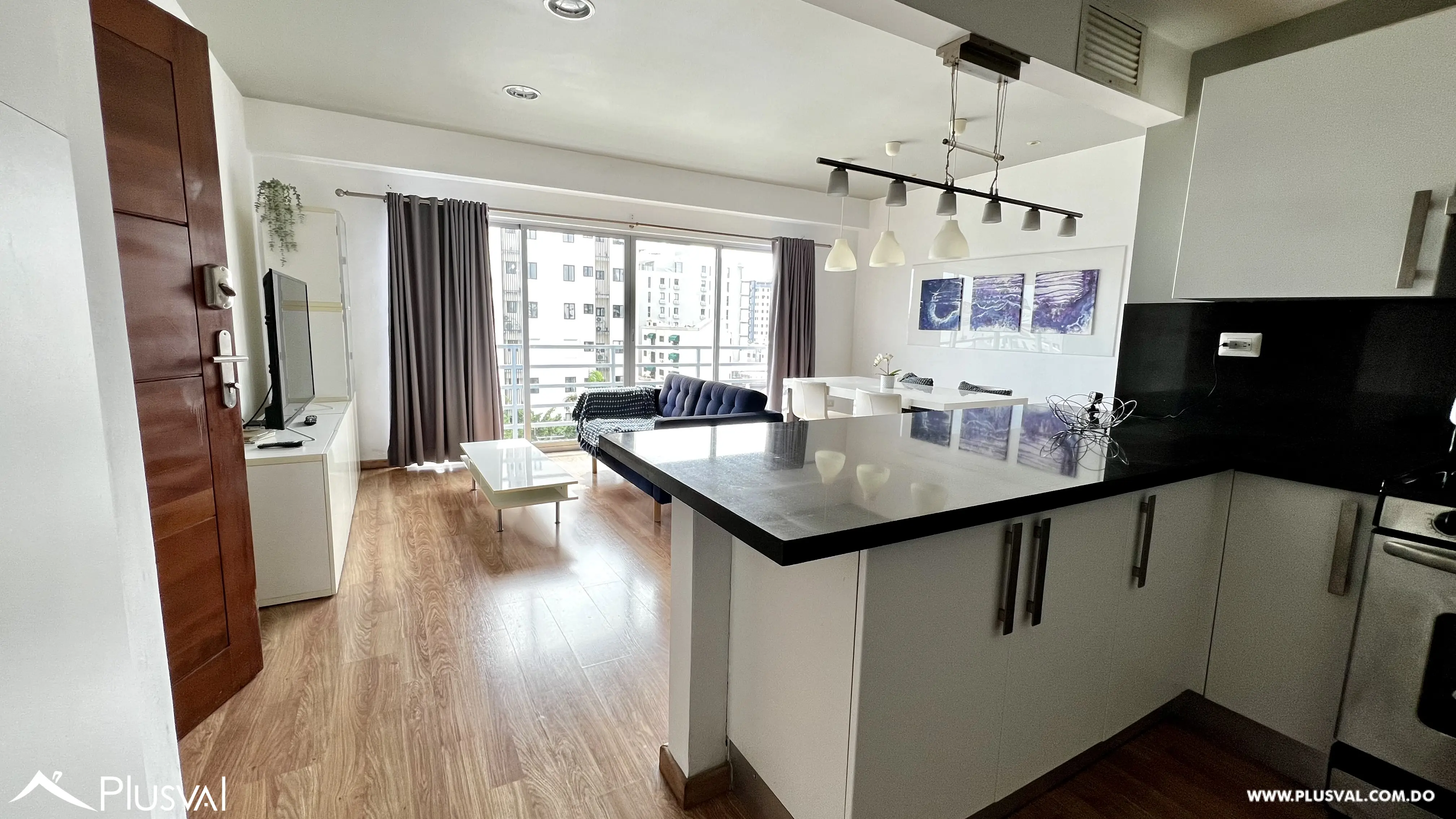 Se vende  Apartamento Amueblado de 2 habitaciones 527198