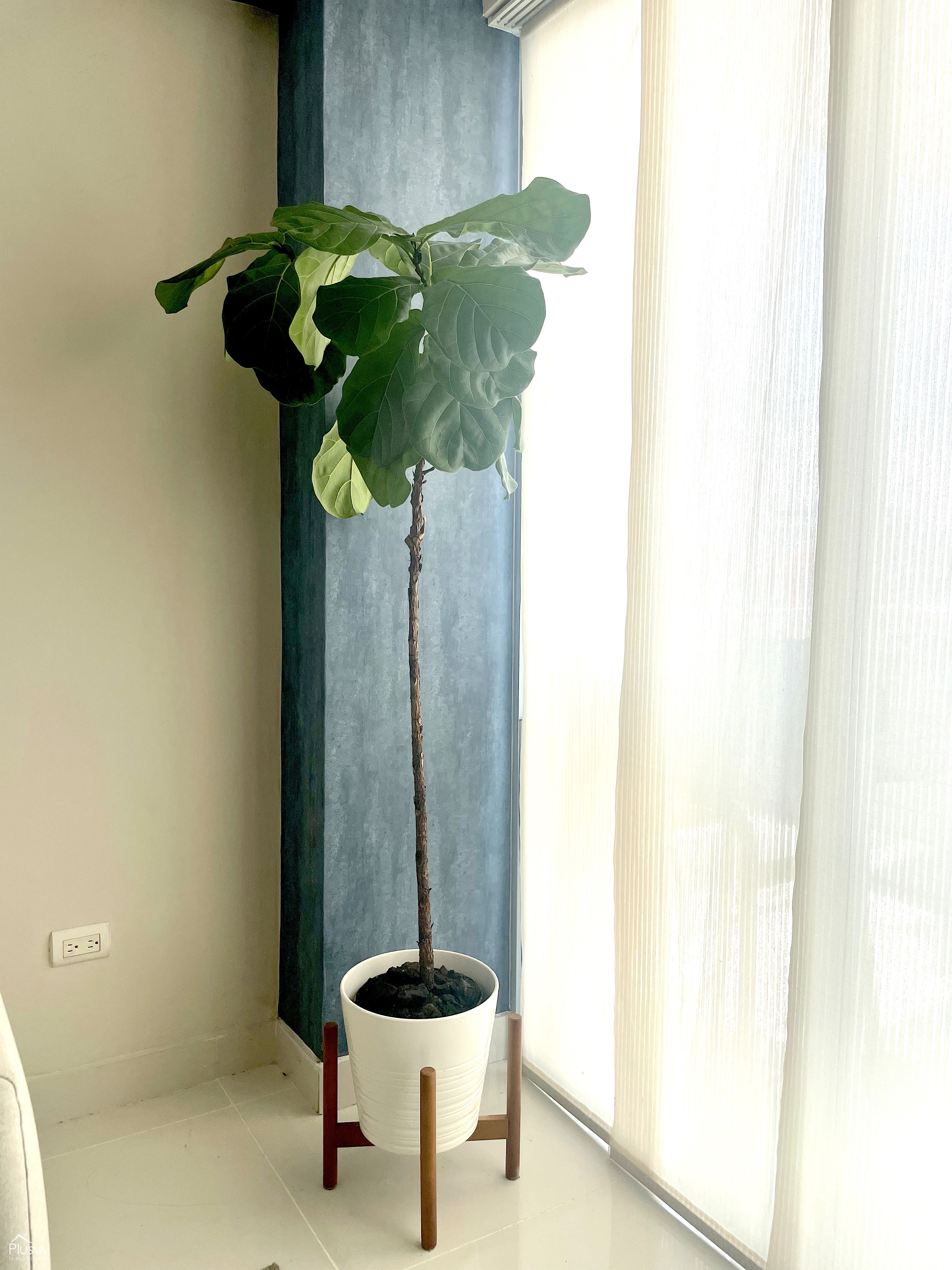 Apartamento amueblado en alquiler, Evaristo Morales 500251
