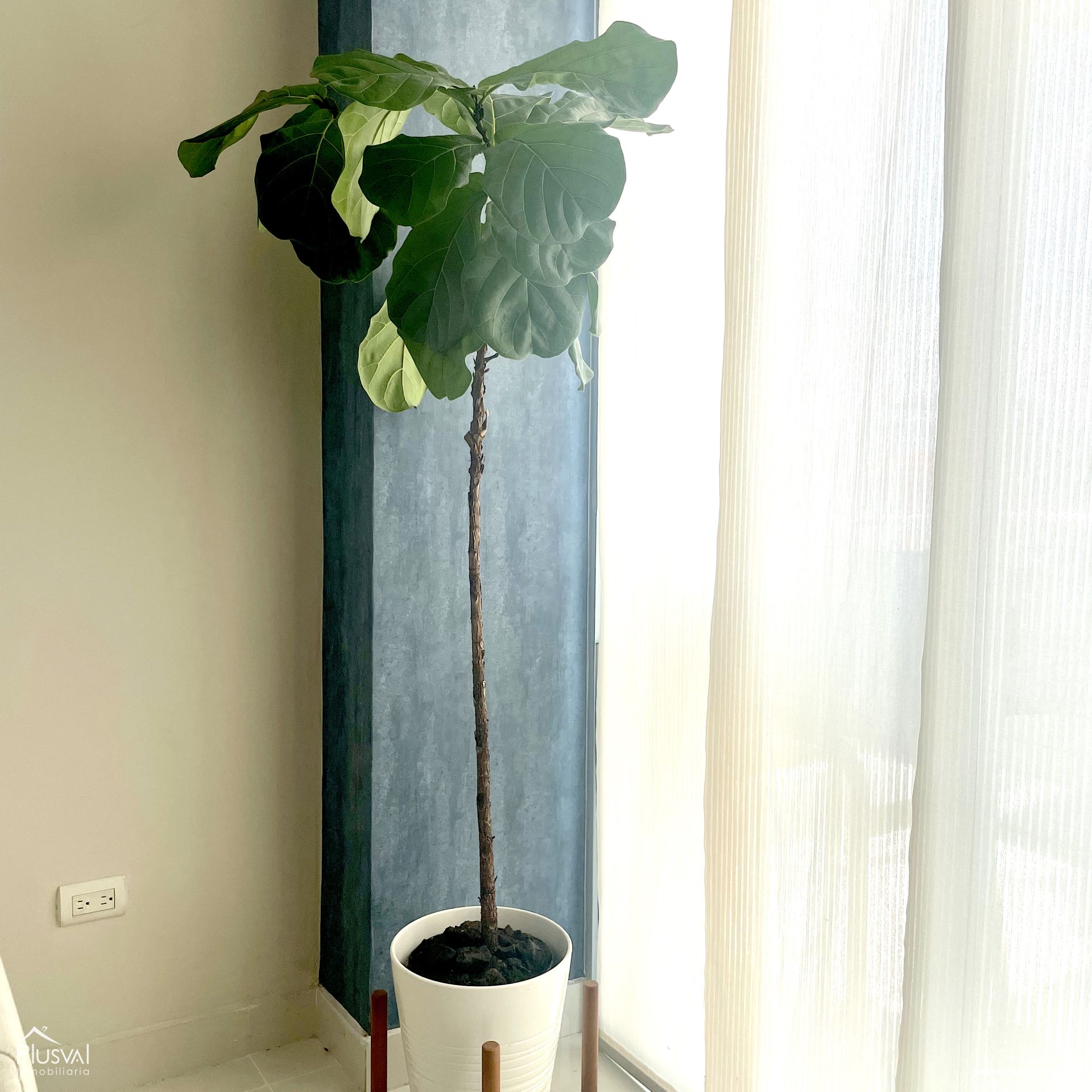Apartamento amueblado en alquiler, Evaristo Morales 500251