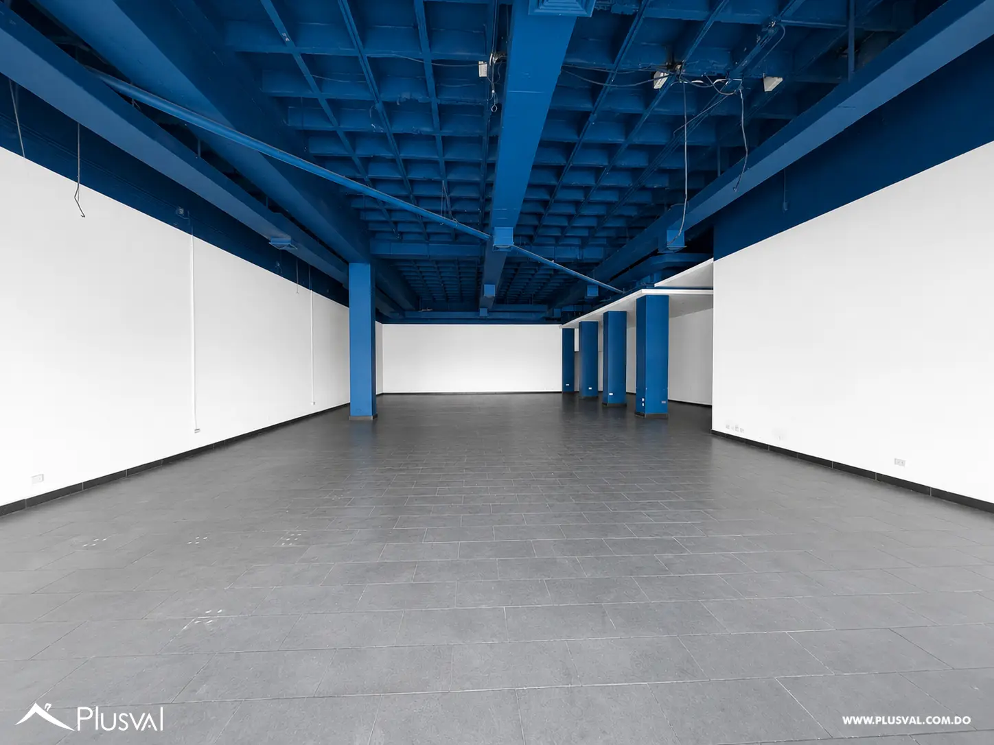 Alquilo Excelente Local Comercial en Primer Nivel en el Corazon de Naco 523723