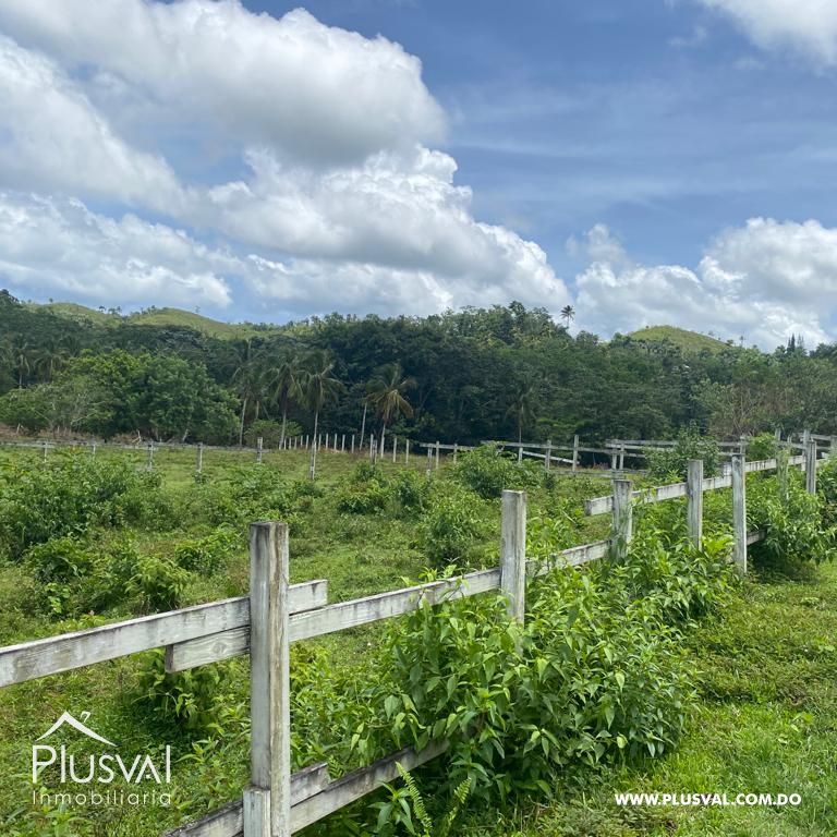 Terreno en Venta en Las Terrenas - Samaná | 190,930 m² Naturaleza y Altitud 313392