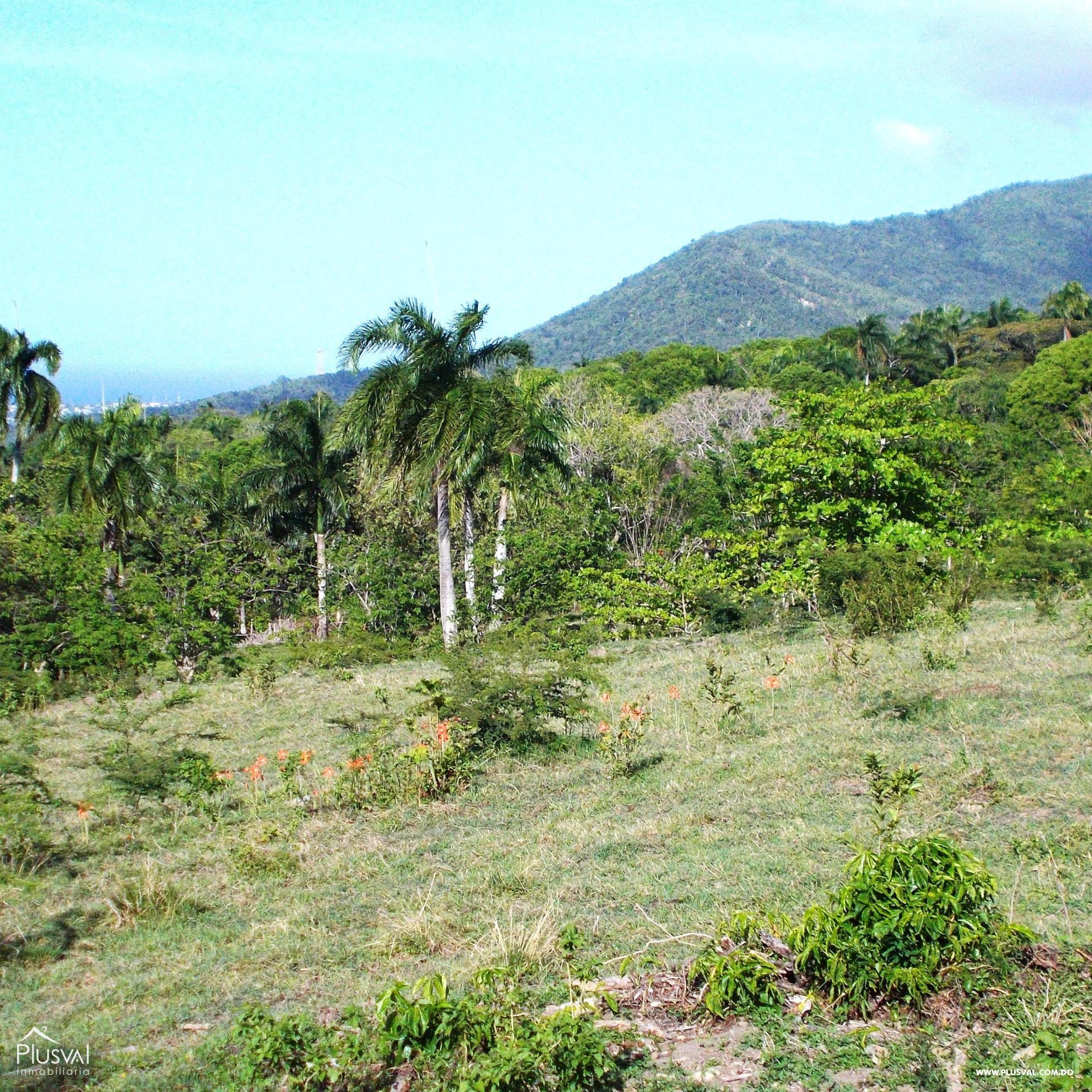 Solares en venta para villas con hermosas vistas en Puerto Plata. 362271