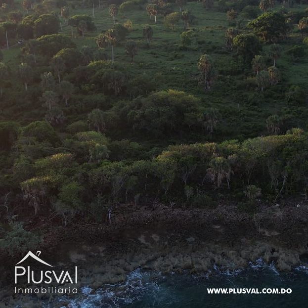 Impresiónante solar con frente de playa en Puerto Plata 323729