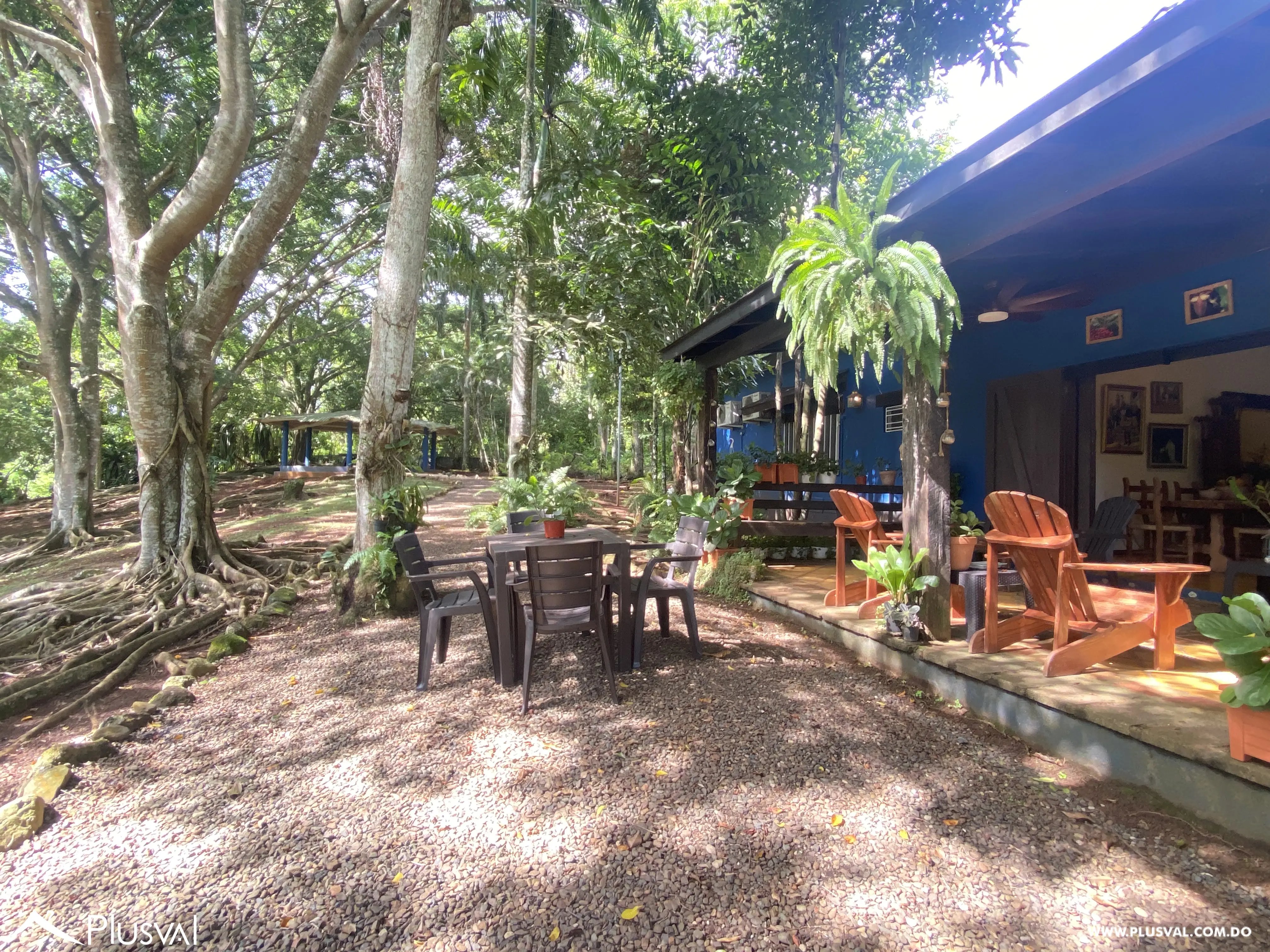Finca de 106 tareas en Venta, Los Cocos | Pedro Brand 452069