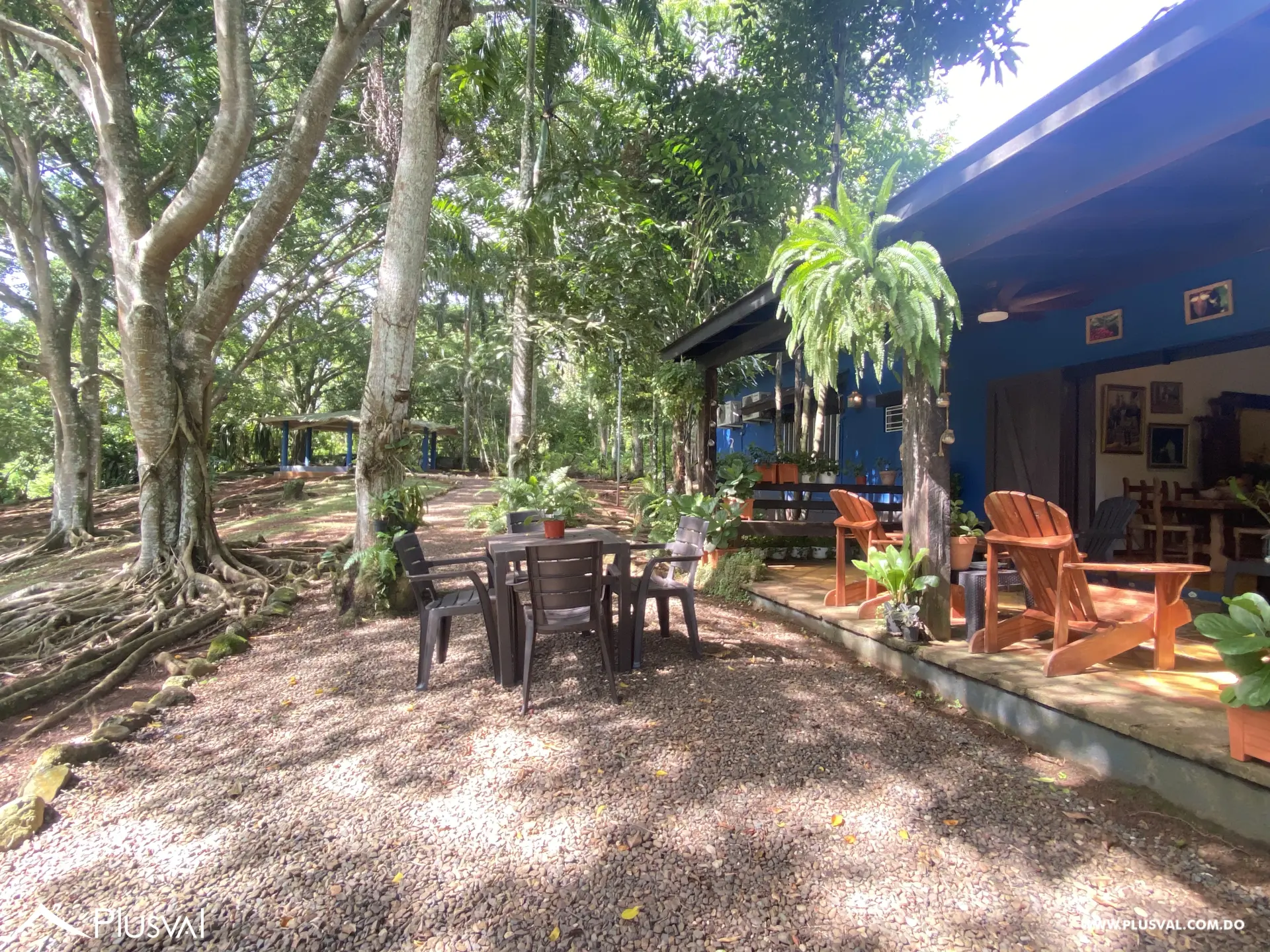 Finca de 106 tareas en Venta, Los Cocos | Pedro Brand 452069