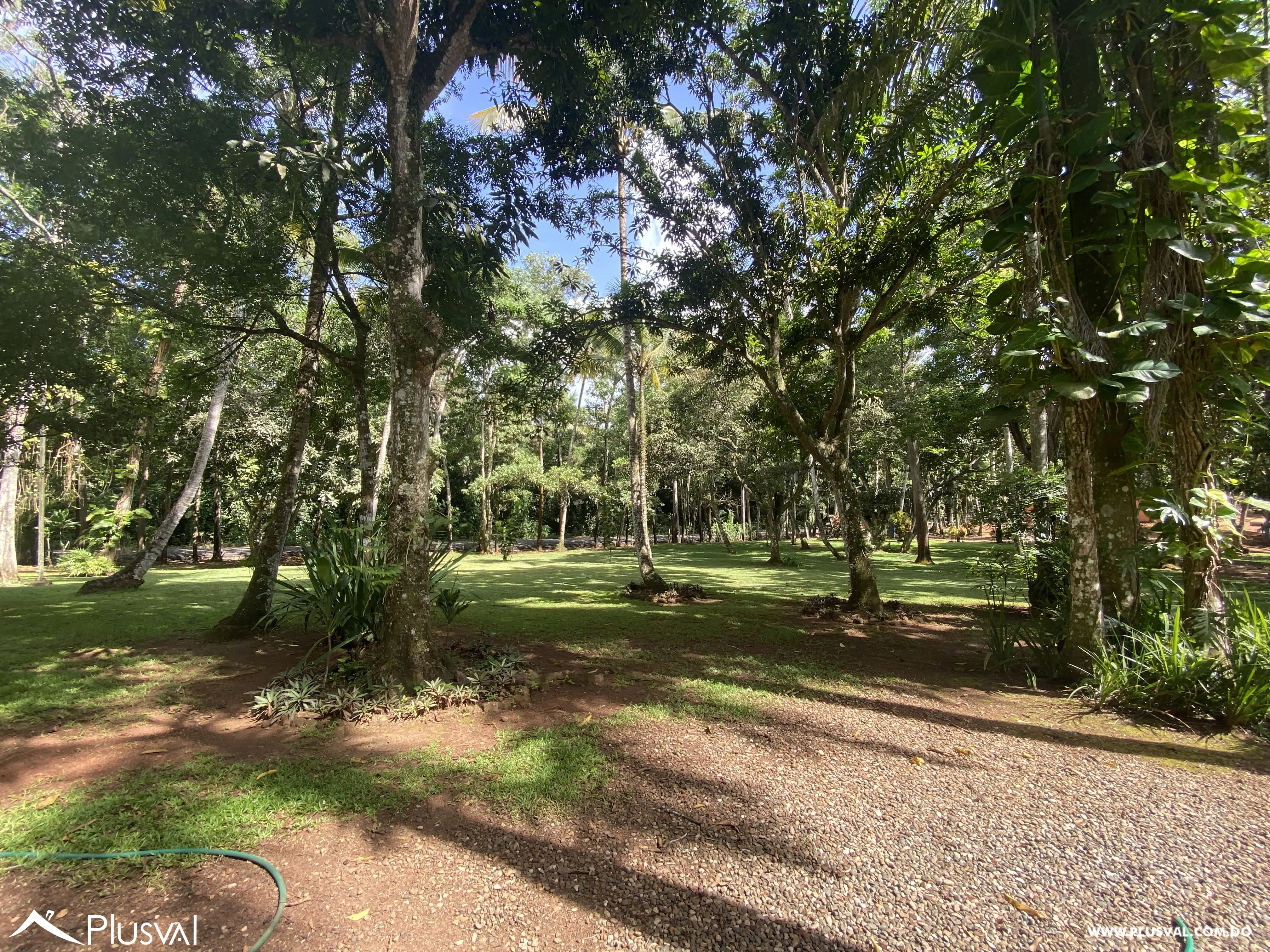 Finca de 106 tareas en Venta, Los Cocos | Pedro Brand 452057