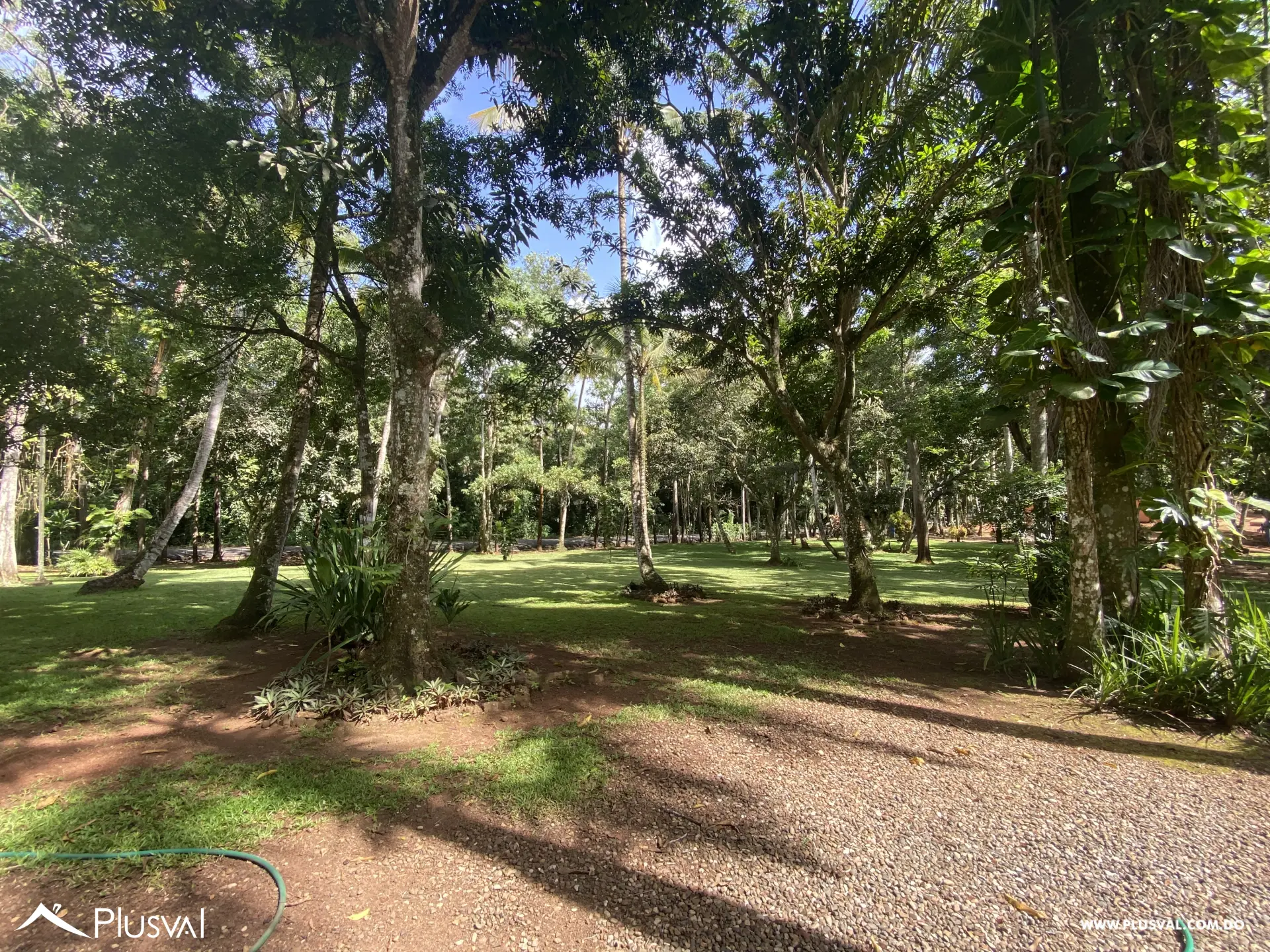 Finca de 106 tareas en Venta, Los Cocos | Pedro Brand 452057