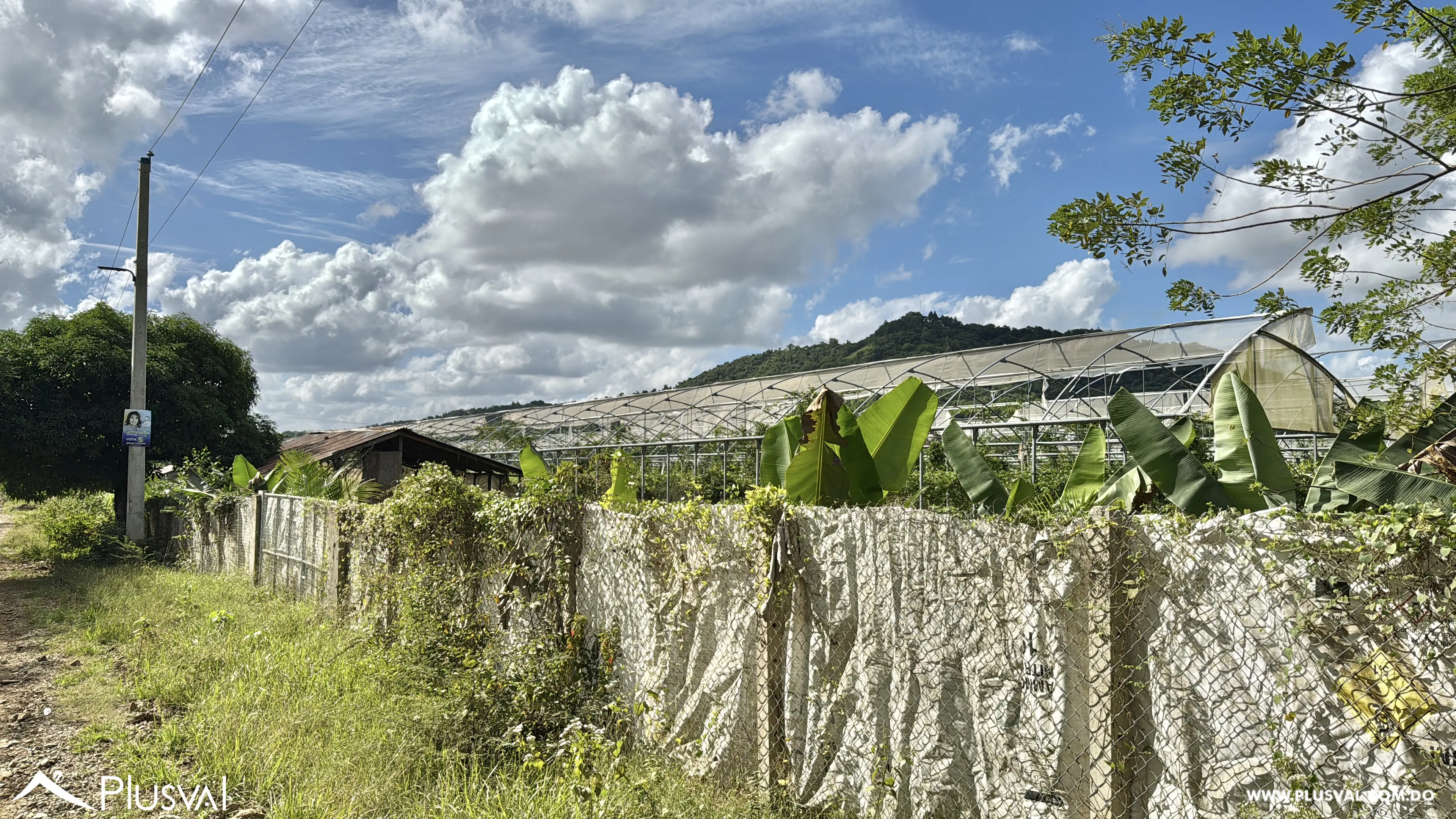 Vendo Maravillosa Finca con Importantes Mejoras en Pedro barnd 479757