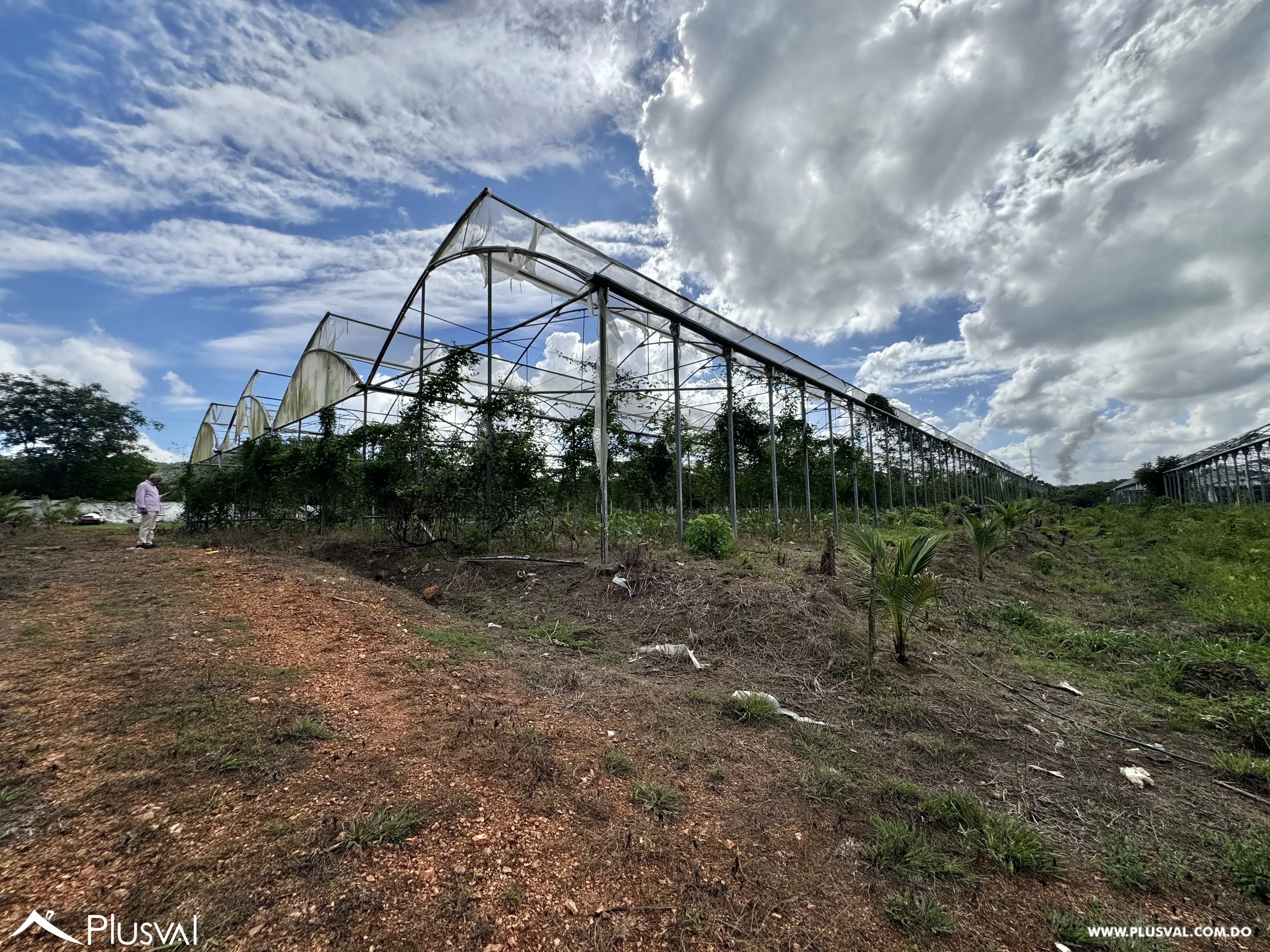Vendo Maravillosa Finca con Importantes Mejoras en Pedro barnd 479774