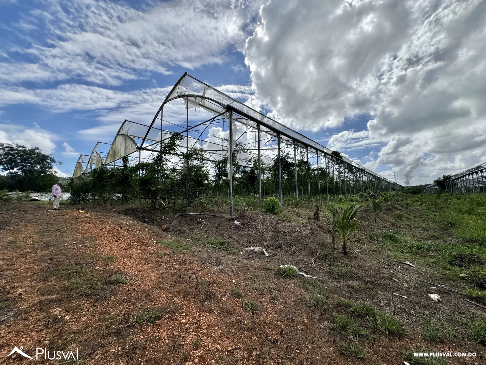 Vendo Maravillosa Finca con Importantes Mejoras en Pedro barnd 479774