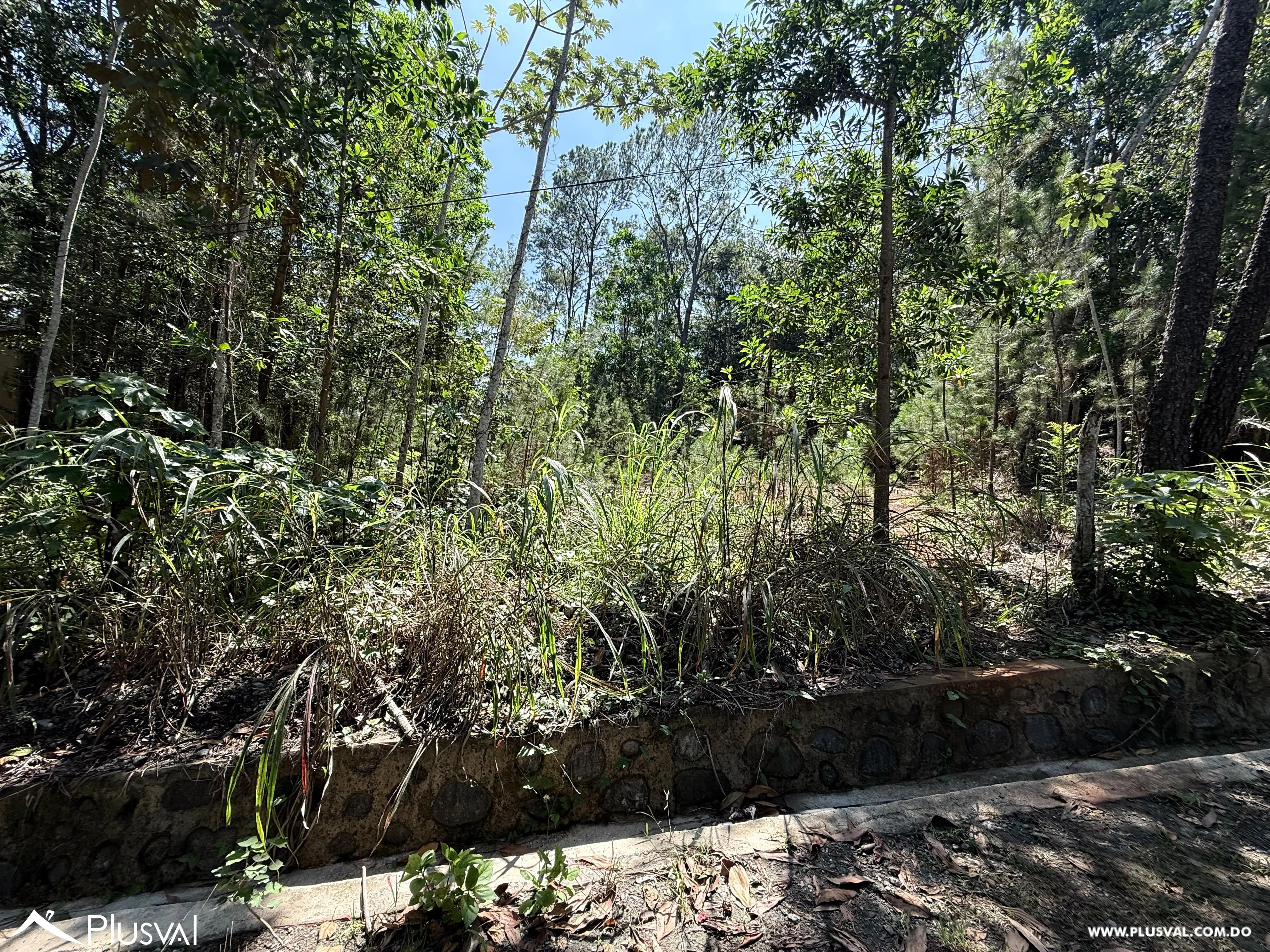 Solar en  Venta en Proyecto Alterra en Jarabacoa 536565