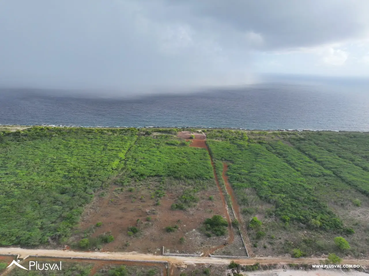 Terreno frente al mar con vistas privilegiadas a Isla Catalina 536723