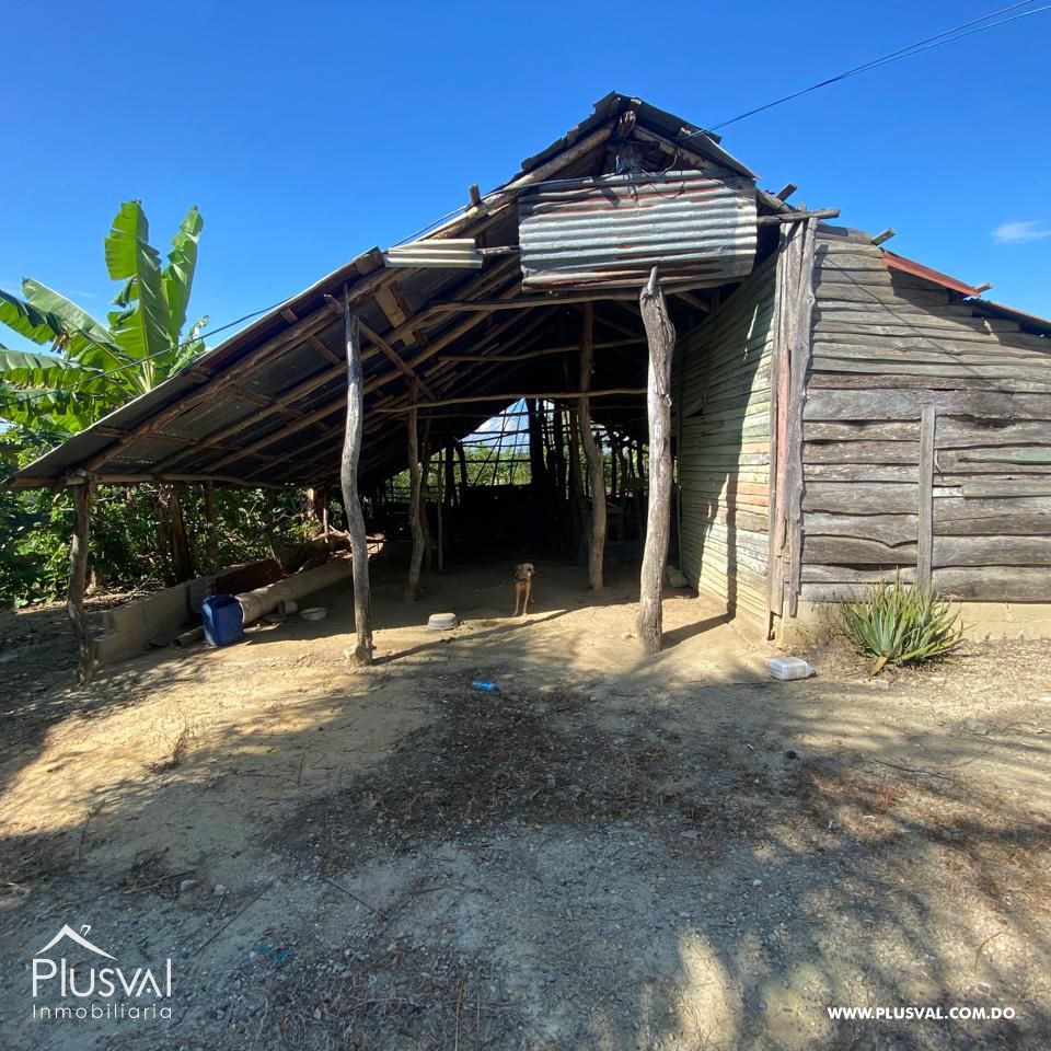 Productiva finca a la venta en El Rincón, Jinamagao, La Canela. Santiago 379515