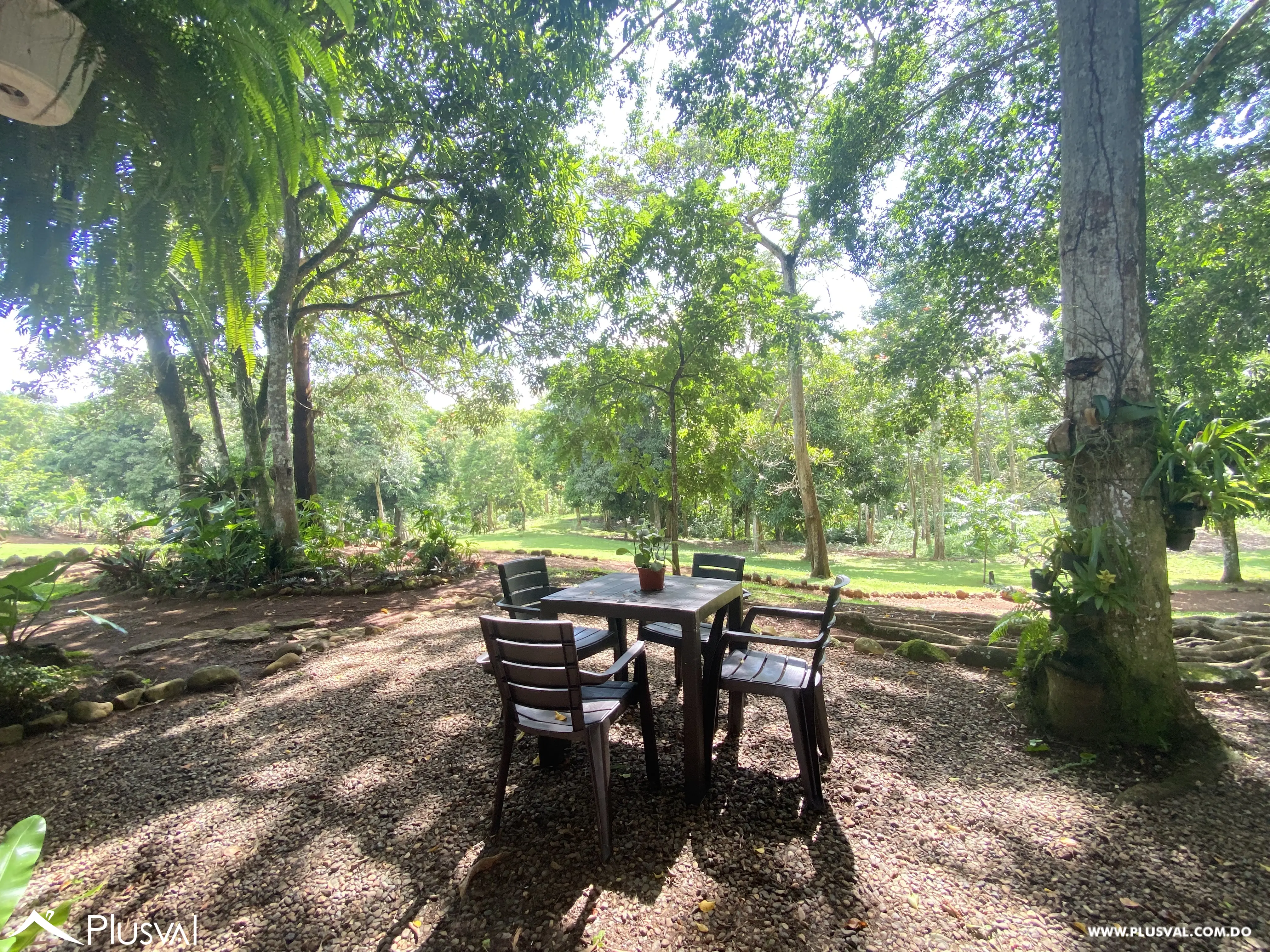 Finca de 106 tareas en Venta, Los Cocos | Pedro Brand 452040