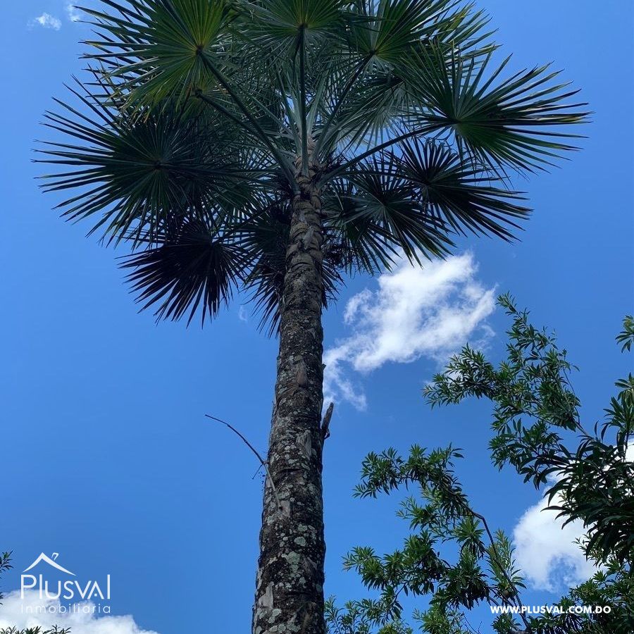 Finca de frutales en Yaguate, San Cristóbal 397868