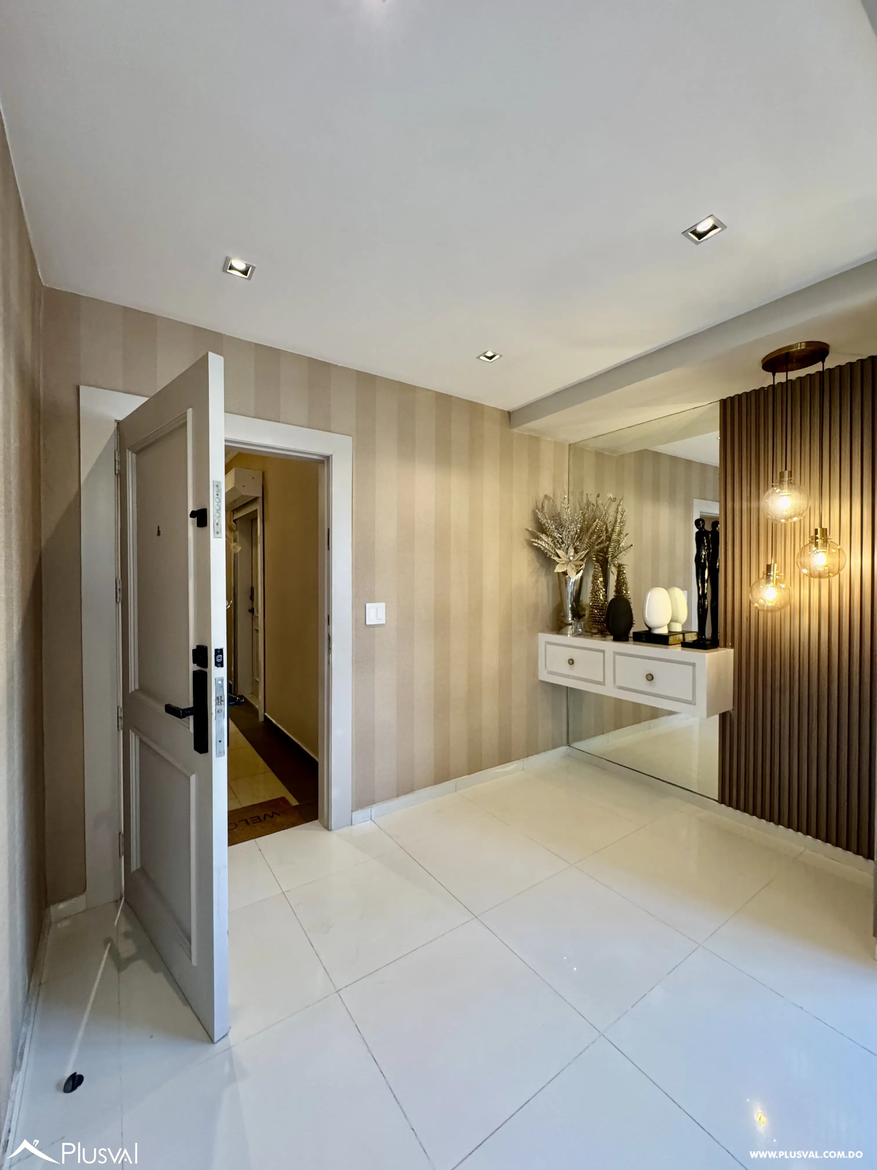 Vendo Maravilloso PH de Lujo en Naco 494680