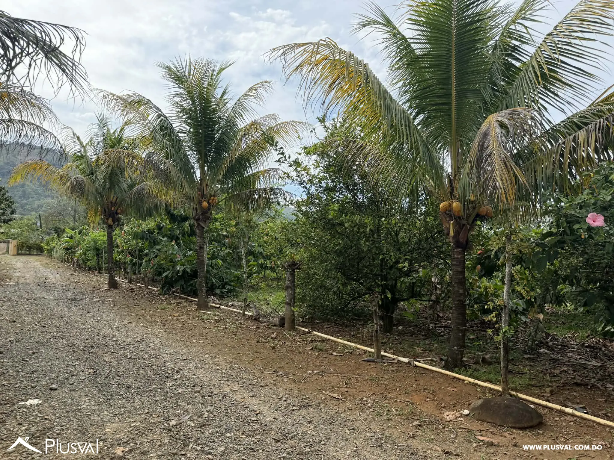 Hermosa Finca en Bonao en venta 496710