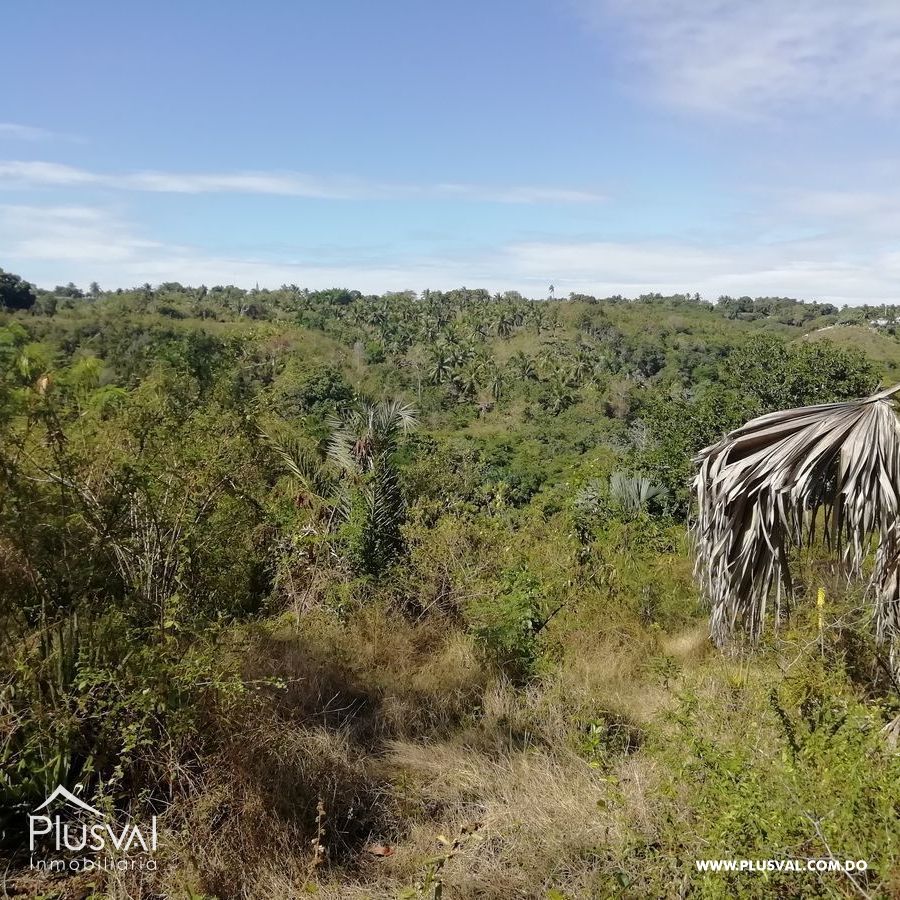 Finca de frutales en Yaguate, San Cristóbal 397863