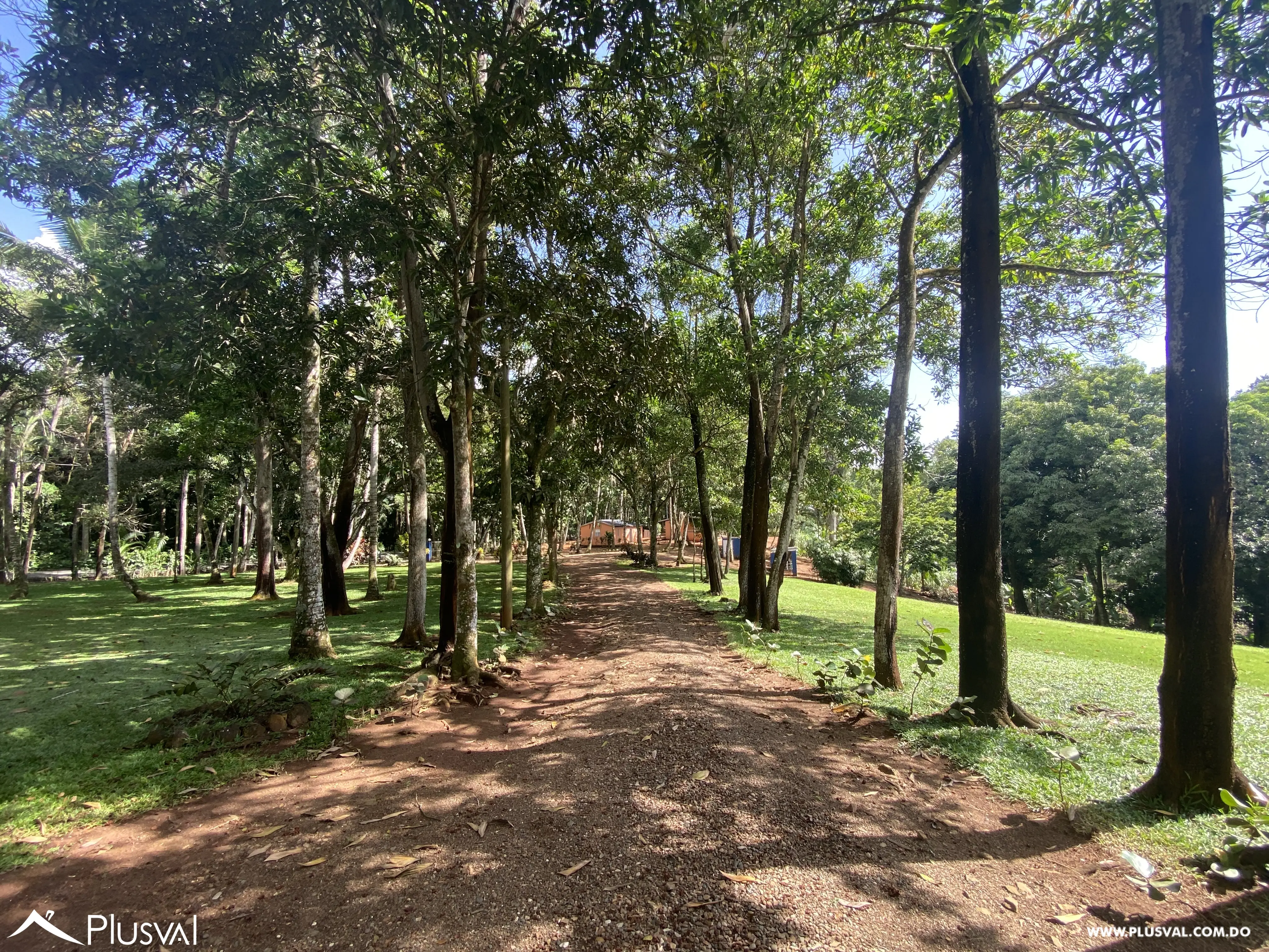 Finca de 106 tareas en Venta, Los Cocos | Pedro Brand 452062