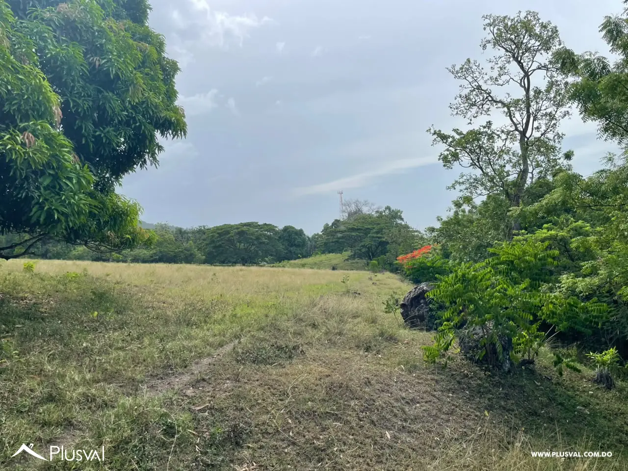 Terreno en venta en El Pino, La Vega 515309