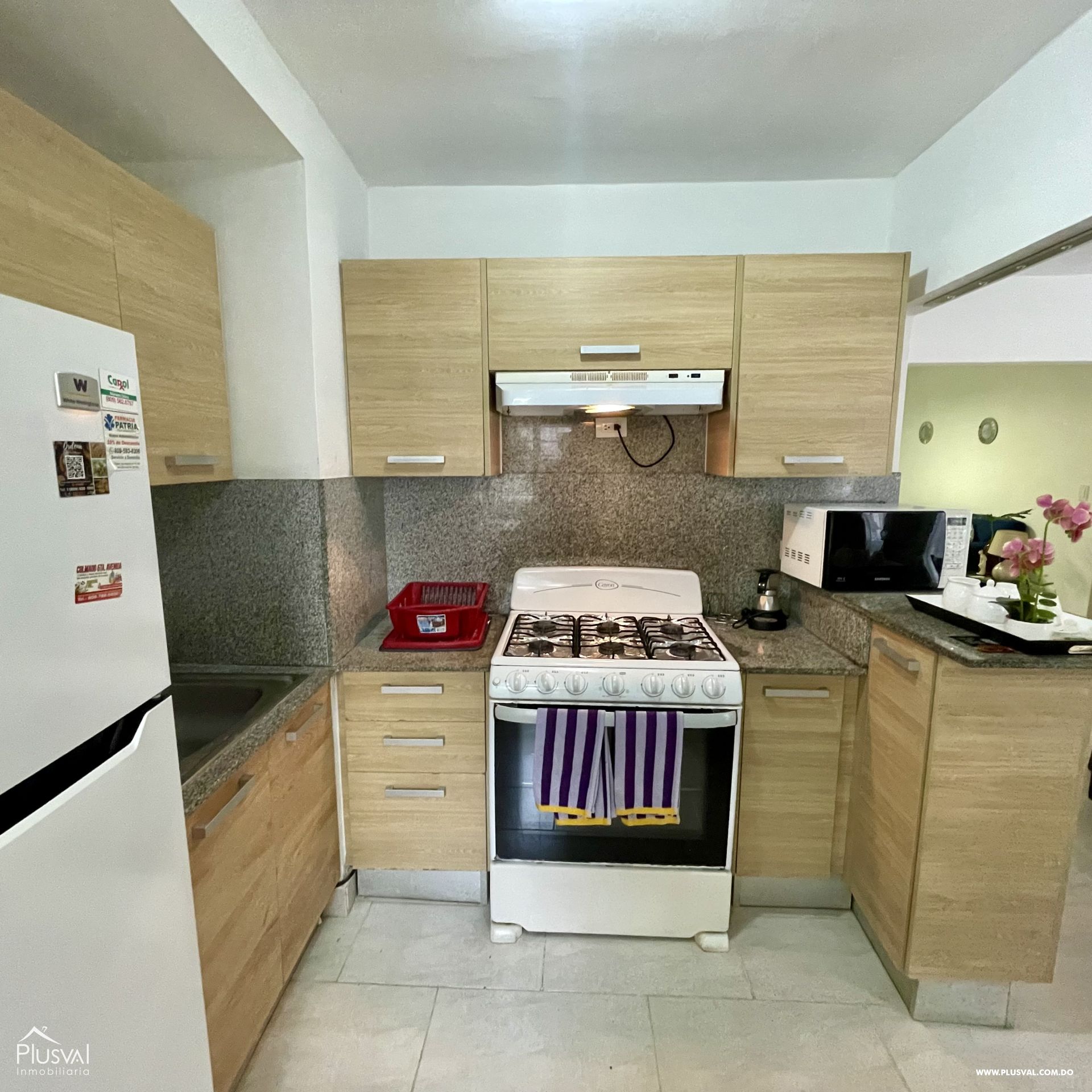 Apartamento En Venta Próximo a la Zona Colonial 388702
