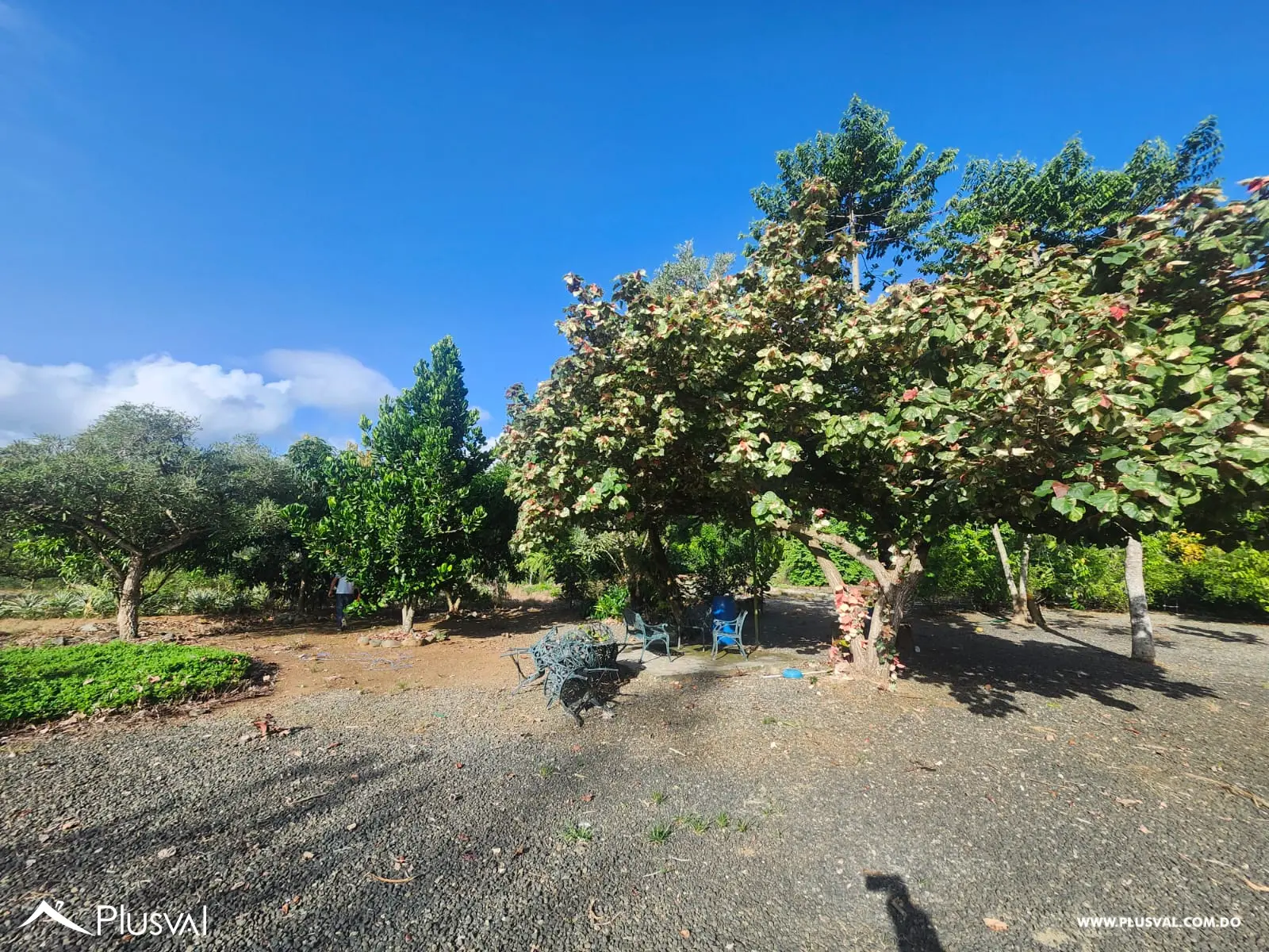 Vendo Excelente Finca en Rancho Los Mogotes- Villa Altagracia 522596