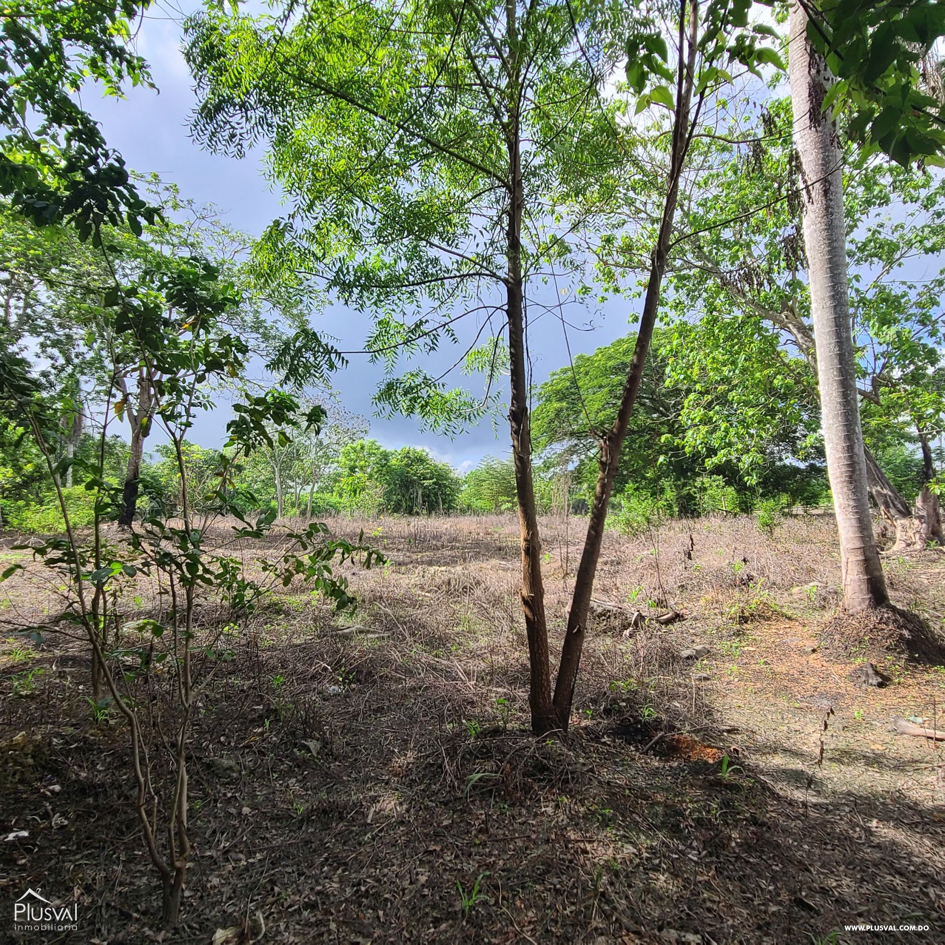 Solar en Venta 22,192.76 m², Sabana Perdida. 284562