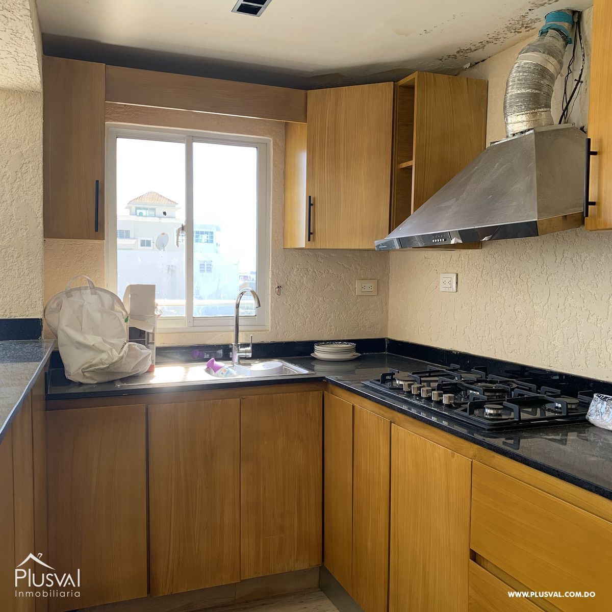 3 en 1 apartamento a la venta en Evaristo morales 403562