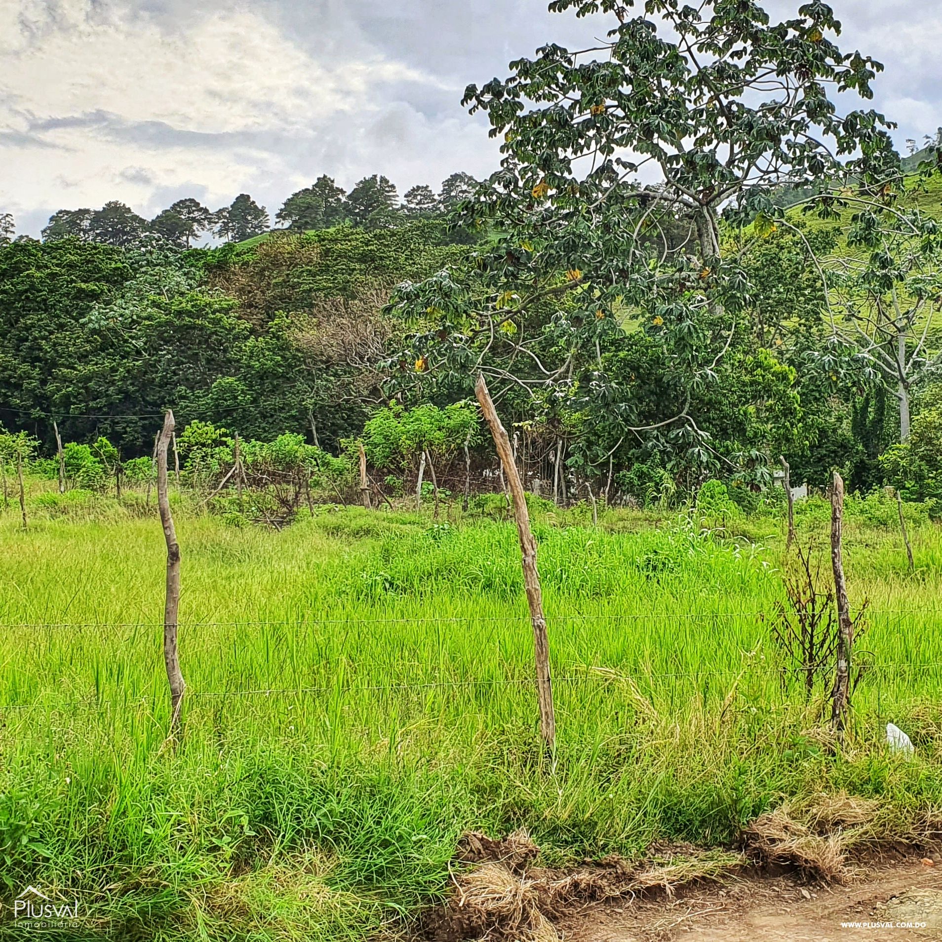 Solar en Pinar Quemado, Jarabacoa. 181029