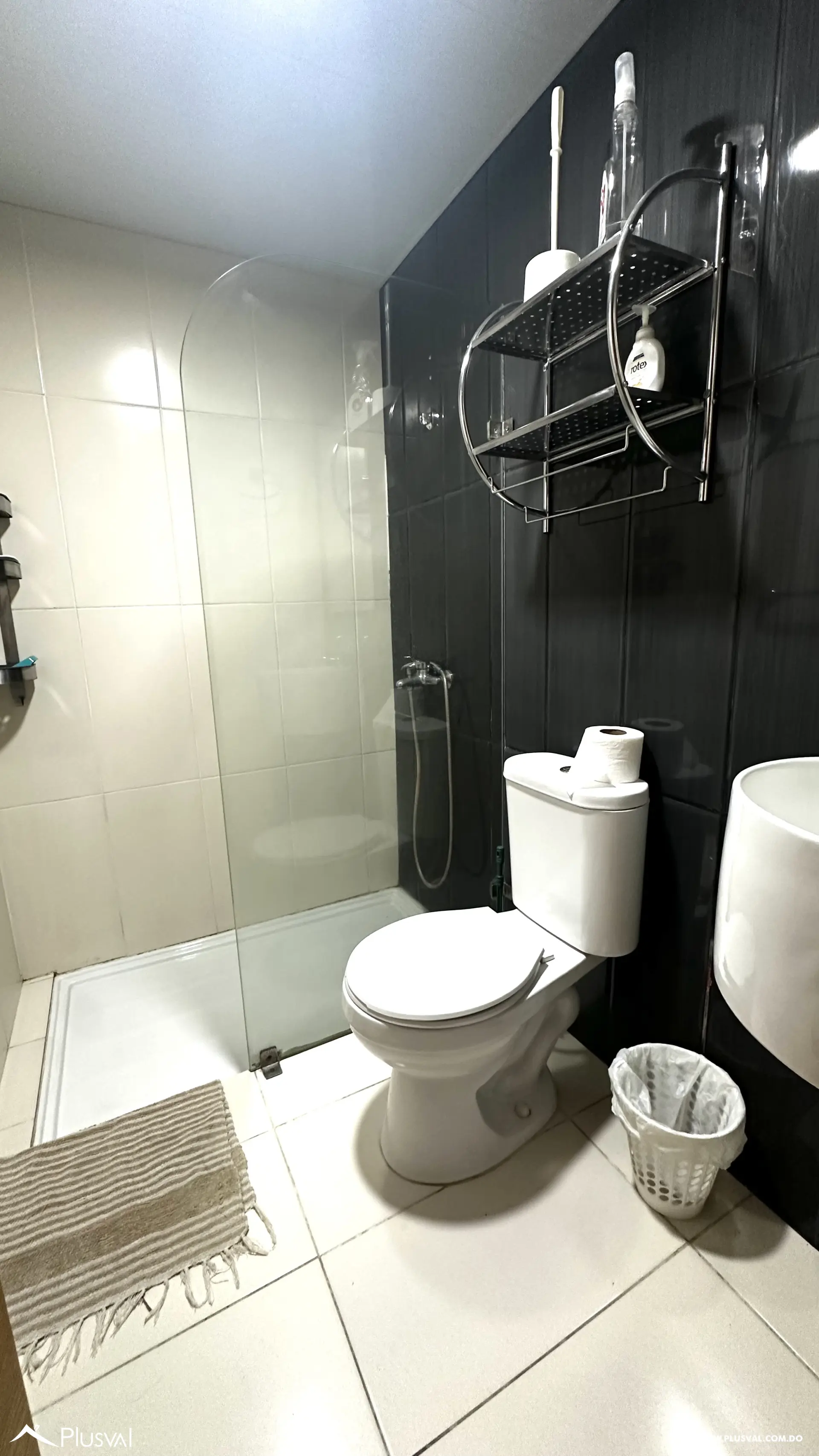 Alquiler Apartamento Amueblado de 2 Hab, Santo Domingo 522393
