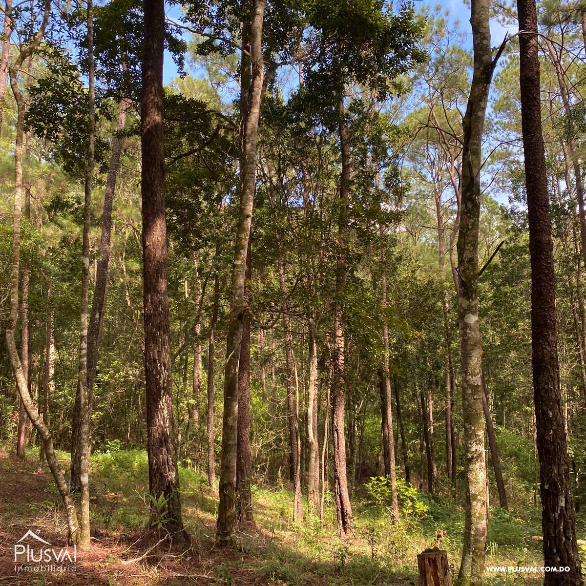 Disfruta de las mejores vistas y mejor ambiente en Jarabacoa 220540