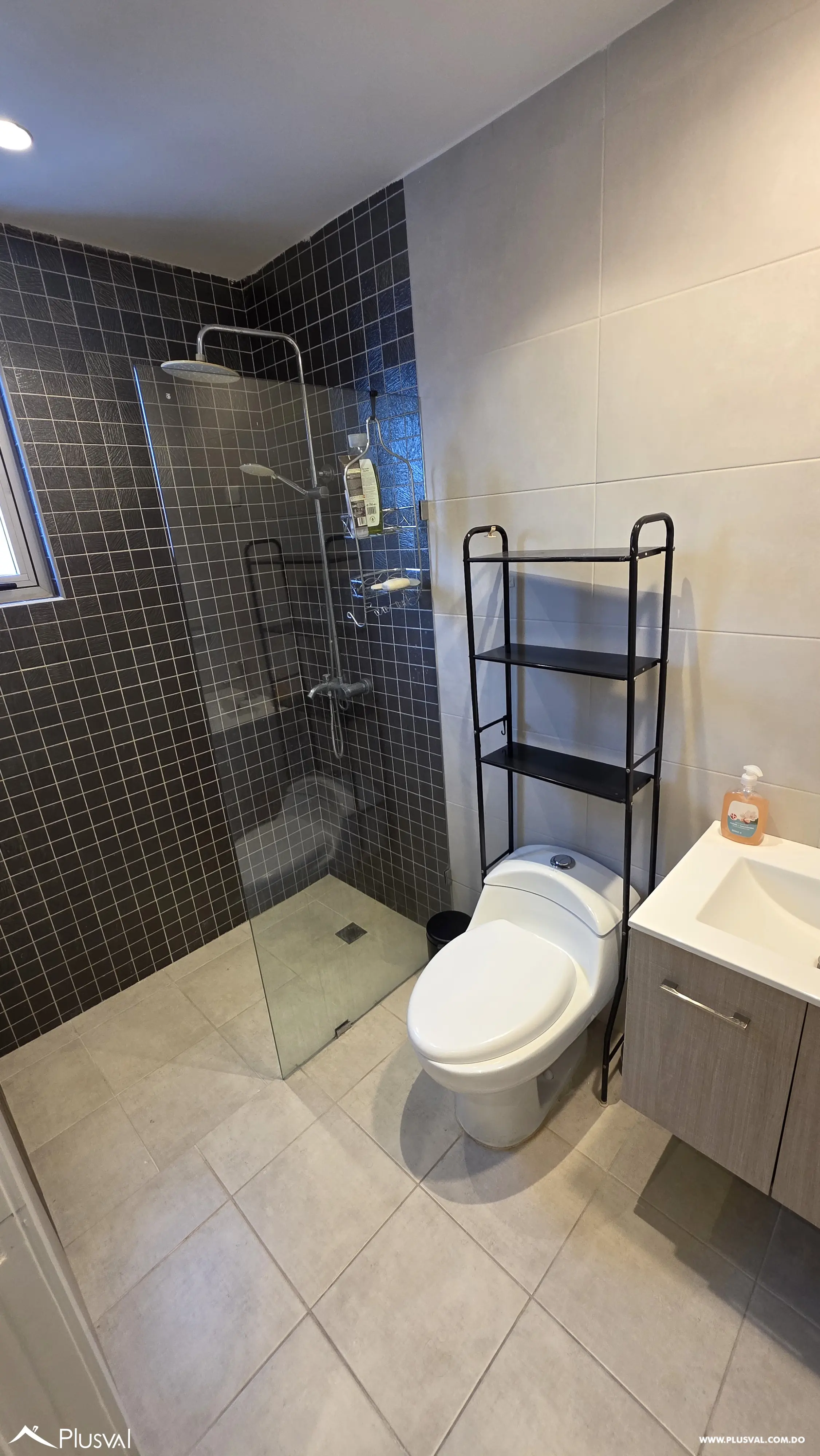 Apartamento en alquiler 3 habitaciones mueblado en Piantini 529830