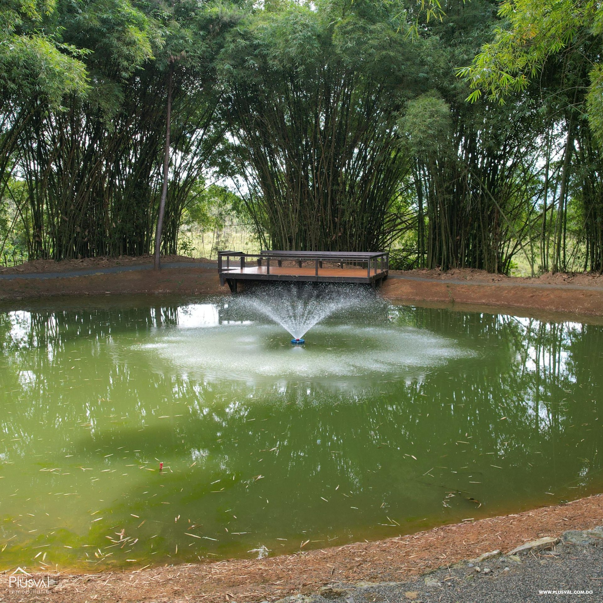 Proyecto de solares en venta ubicado en Jarabacoa y con vistas a la montaña 408268