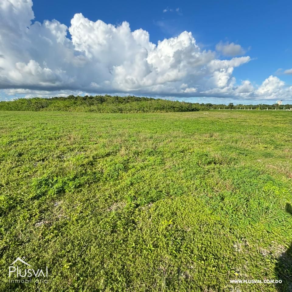 Terreno en Venta con alto potencial en Cap Cana 483067