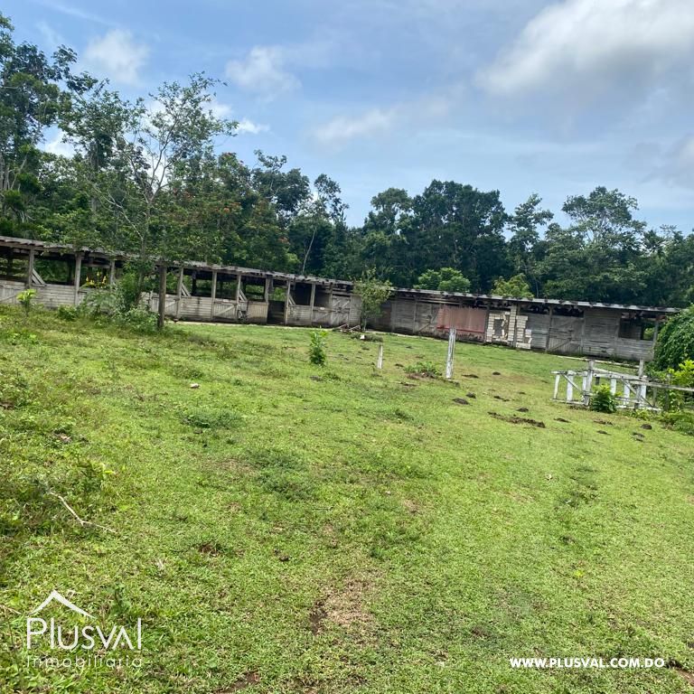 Terreno en venta en Samana 353025