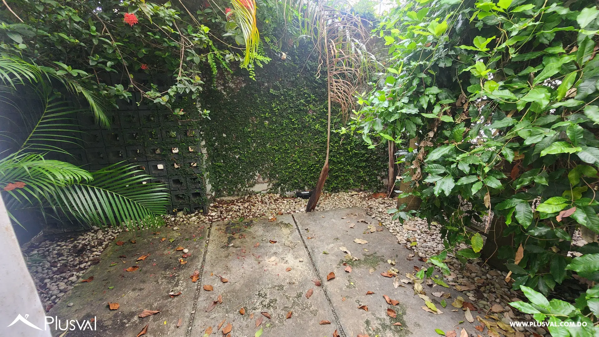 Se alquila casa comercial en Naco 511642