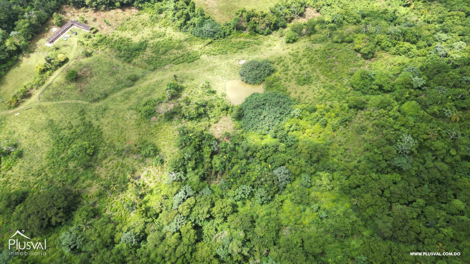 Finca en venta en Las Terrenas, inversión ideal en el paraíso 450786