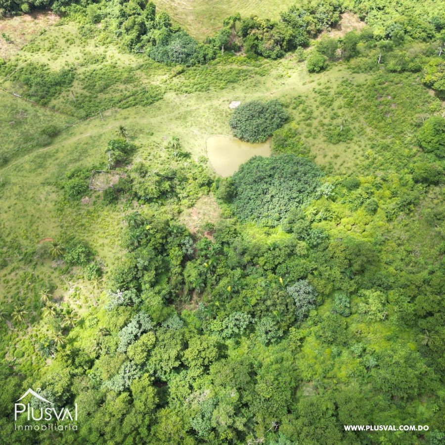 Finca en venta en Las Terrenas, inversión ideal en el paraíso 450786